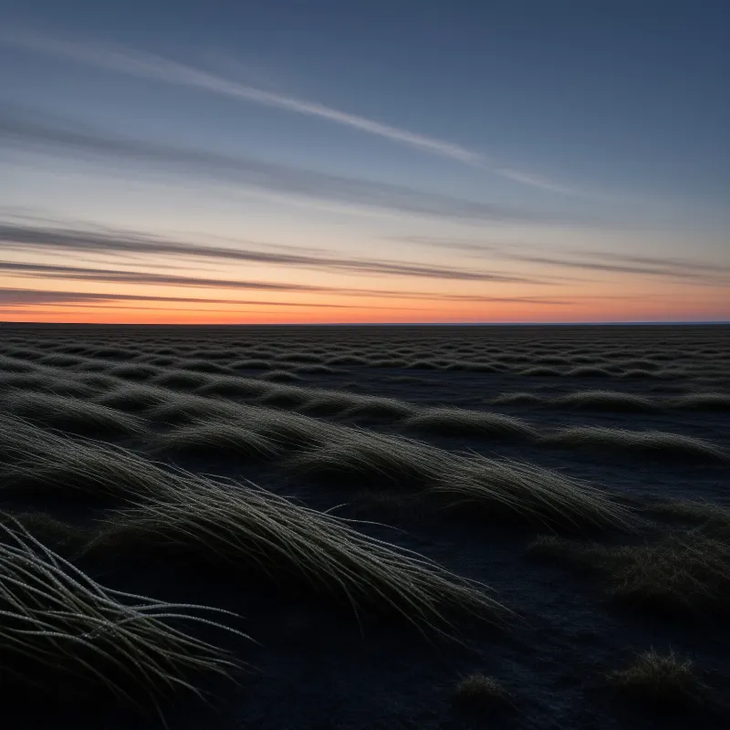 Silvery grass tufts stretch across a dark flat landscape under a blue sky with orange sunset bands.