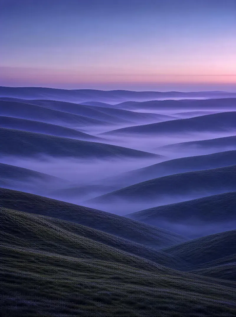 Misty Rolling Hills at Dusk