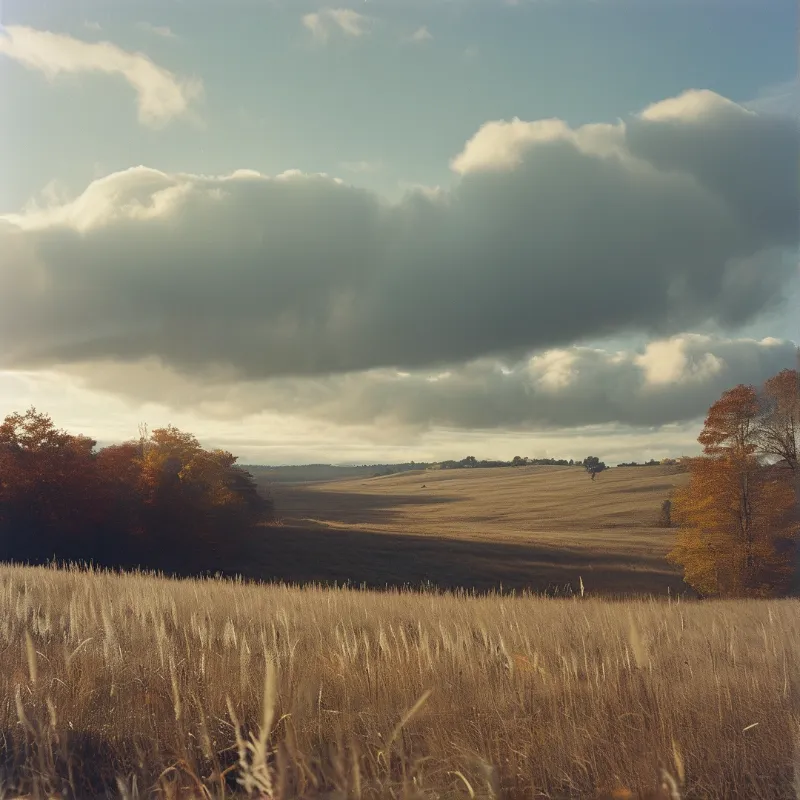 Rolling fields of dry grass extend toward distant trees under a sky filled with large, sunlit clouds.
