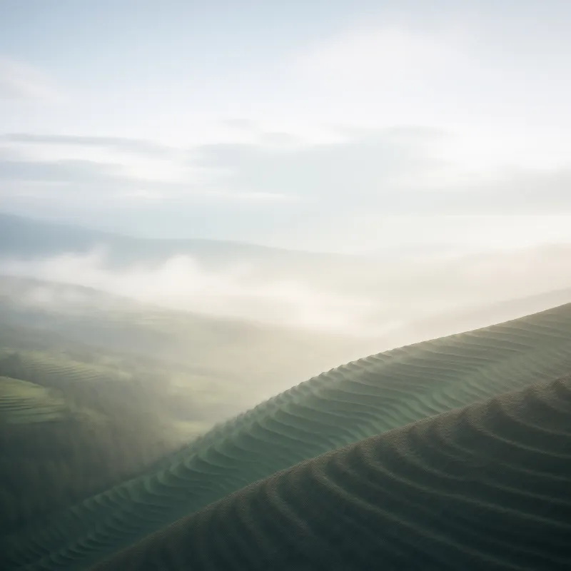 Misty Rolling Hills