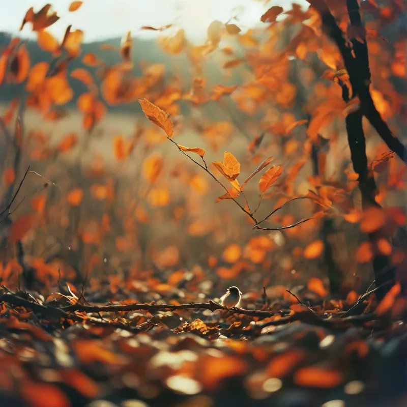 A small bird rests on a branch while orange leaves swirl in the warm sunlight.