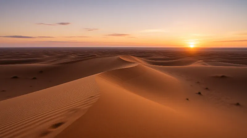 Golden Desert Sunset