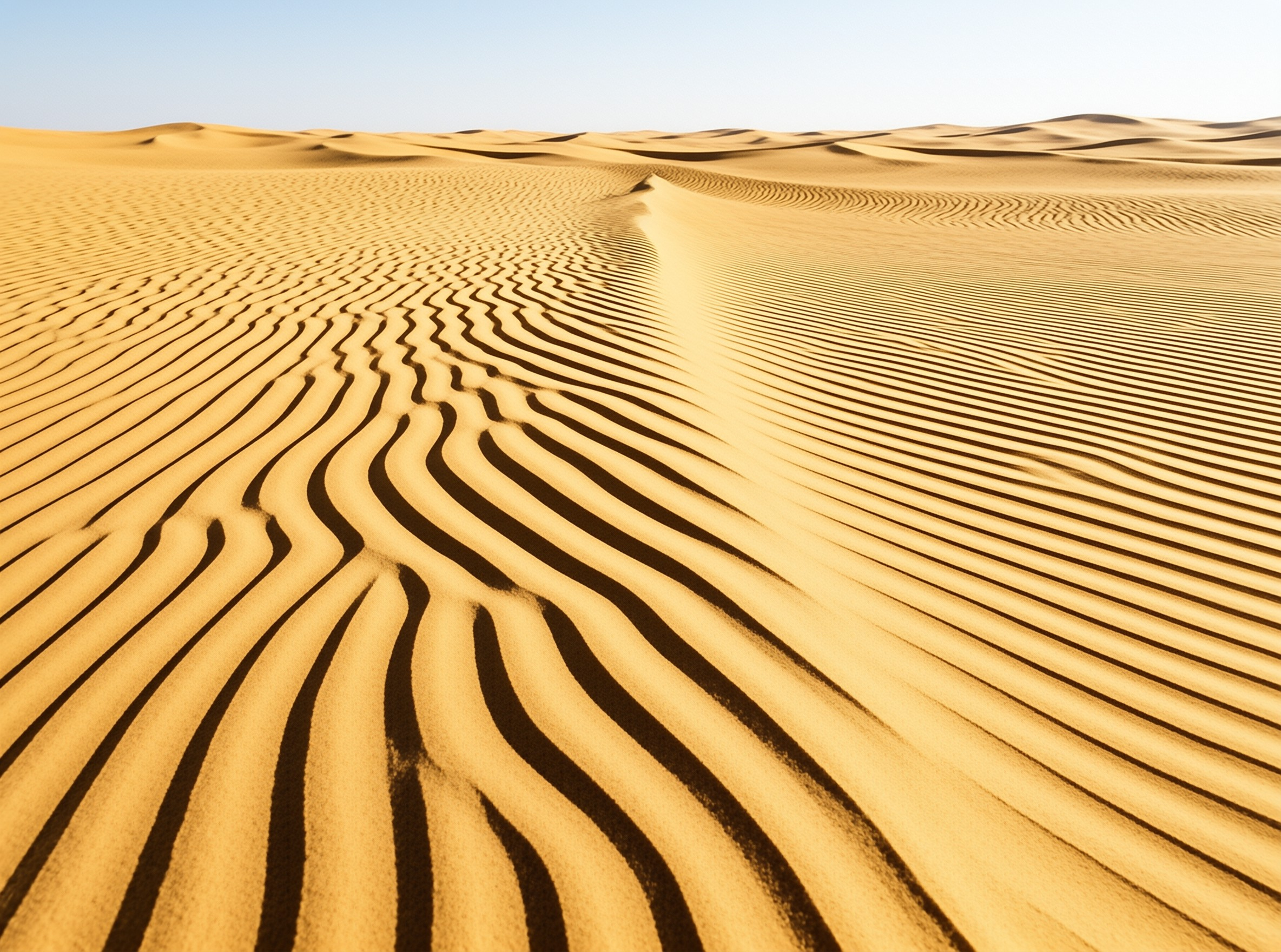 Desert Sand Dunes