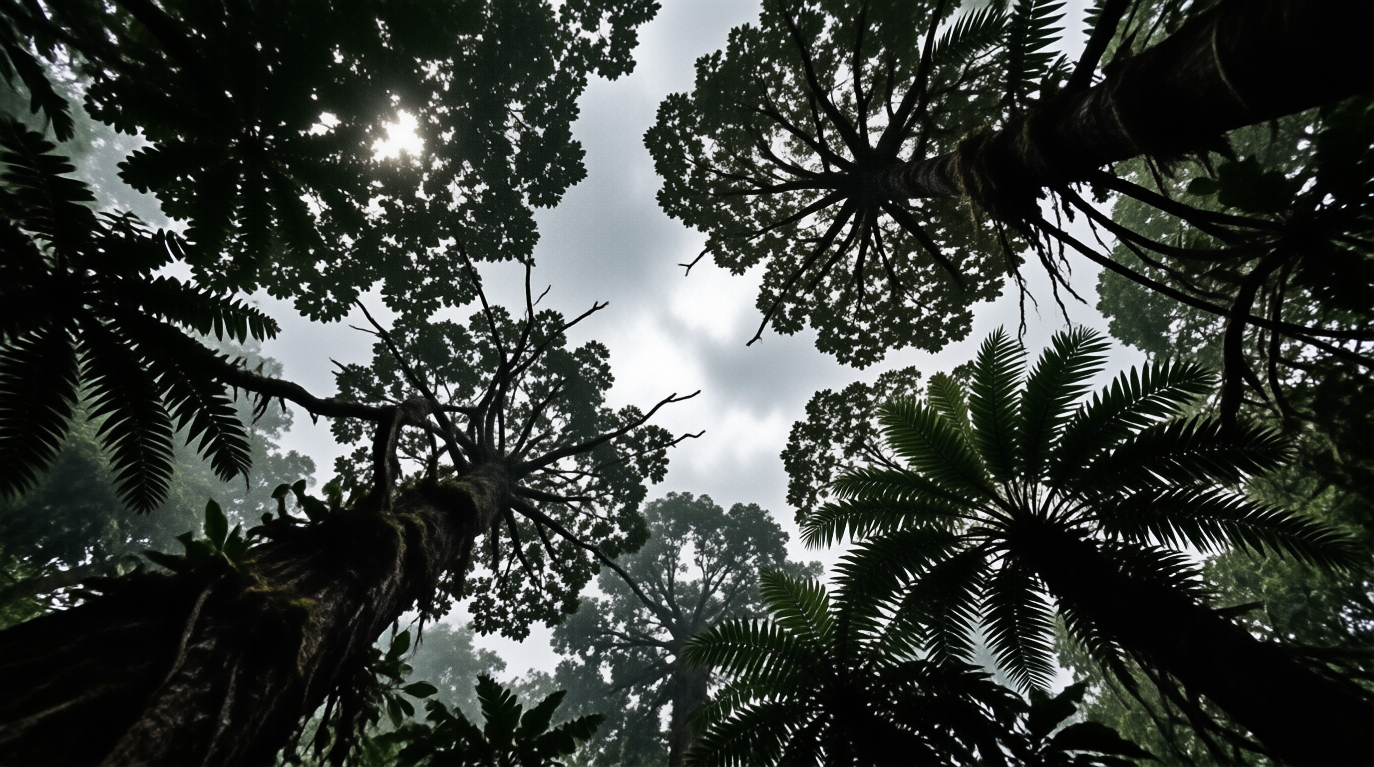 Towering fern tree canopies encircle the observer in a dim misty forest, with soft overcast grey light filtering between the branches.