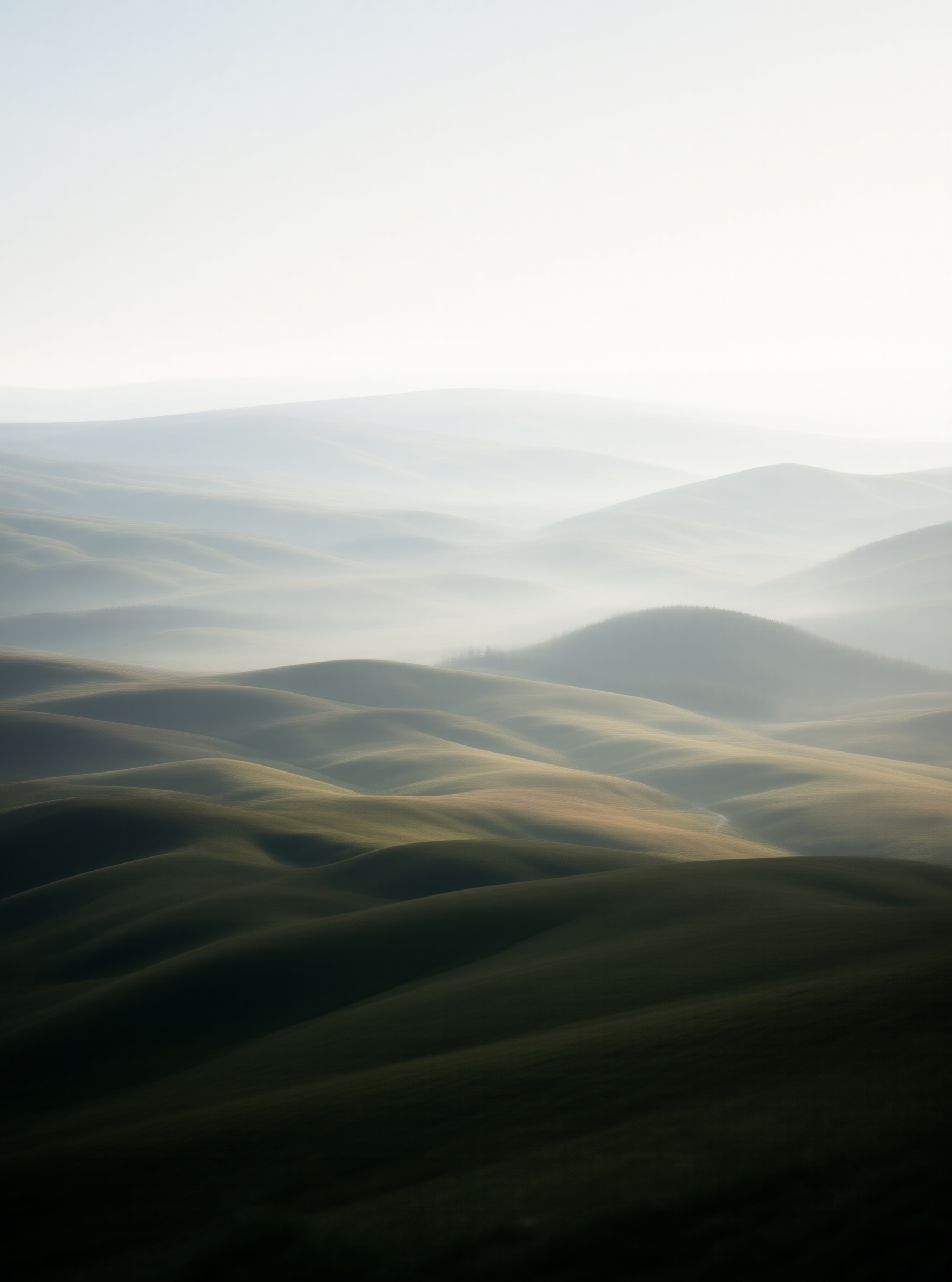 Rolling Hills in Mist