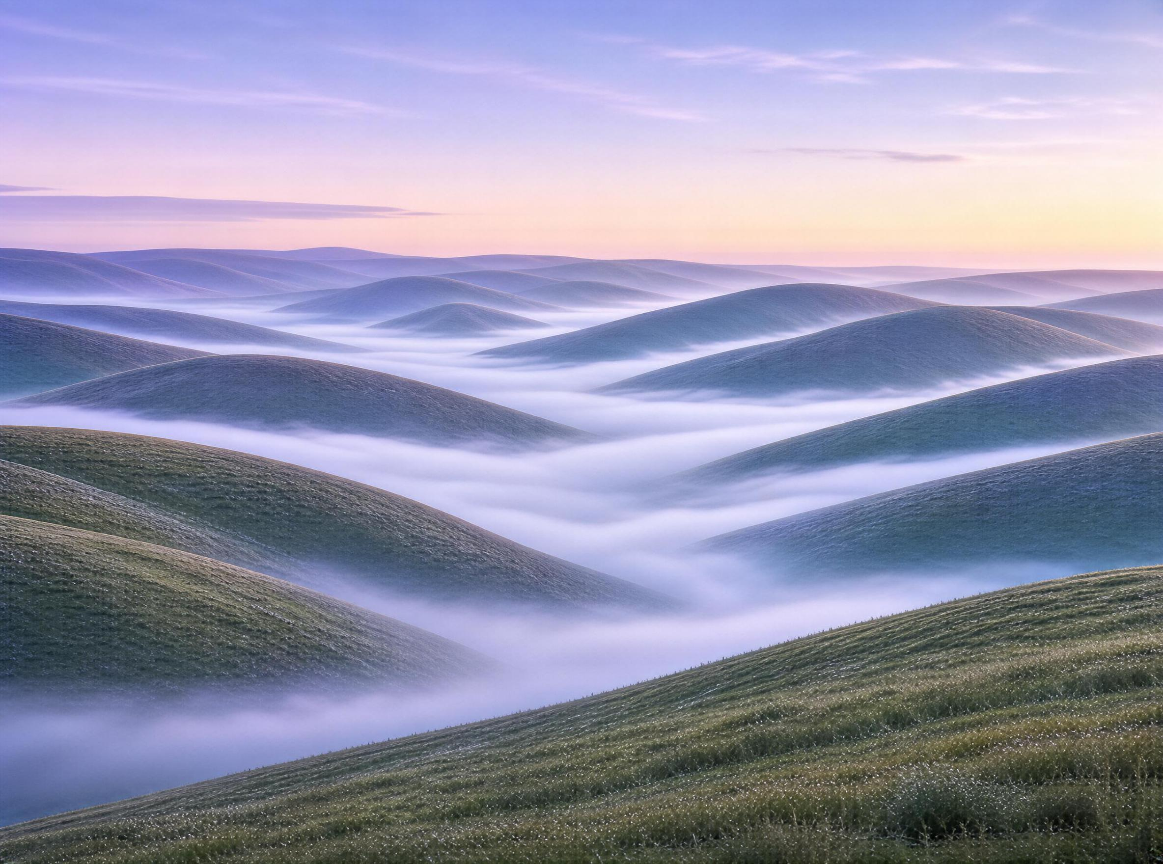 Misty Rolling Hills at Dawn