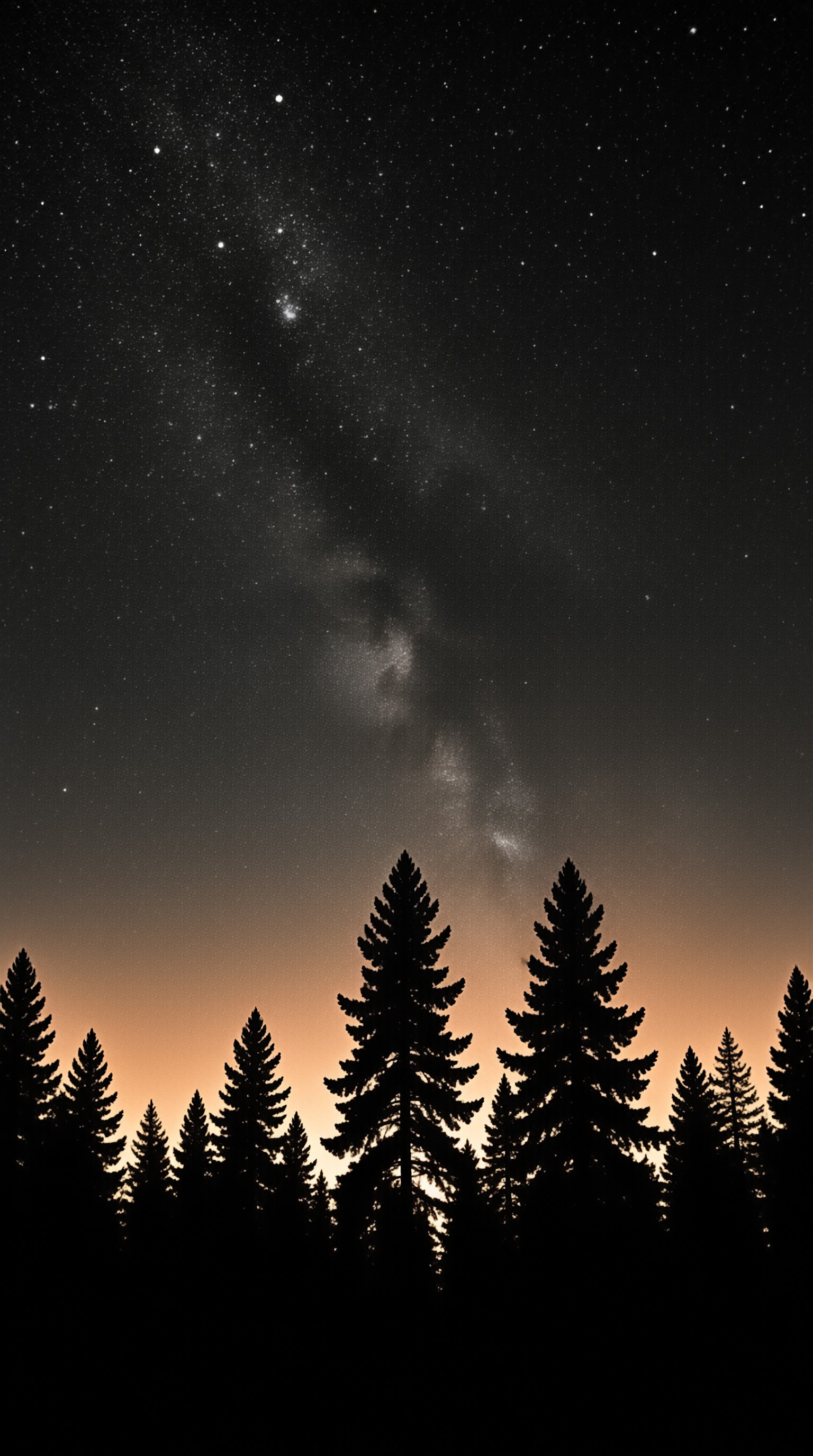 Dark pine tree silhouettes stand beneath a vast night sky filled with the Milky Way galaxy.