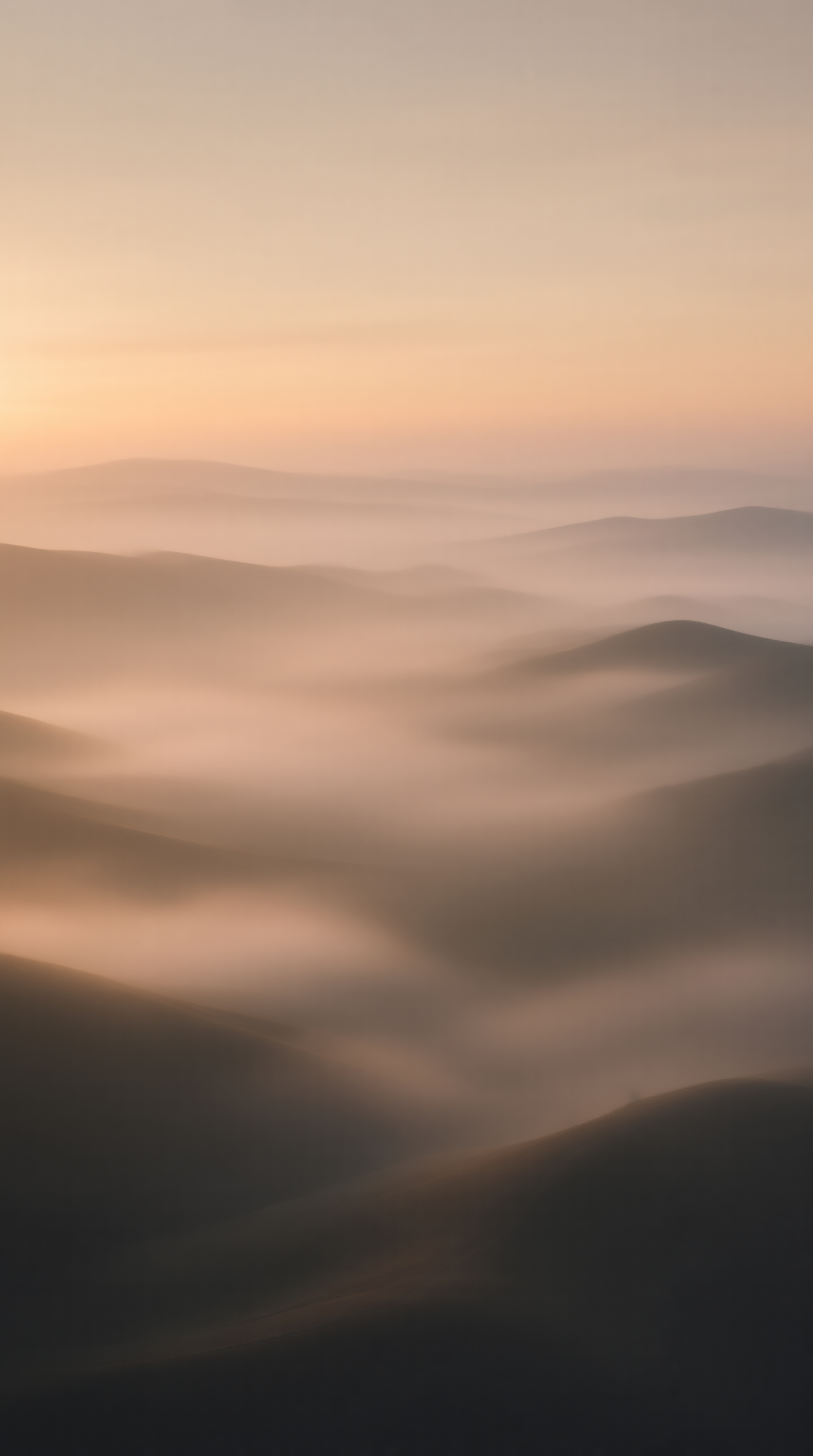 Misty Dunes at Sunrise
