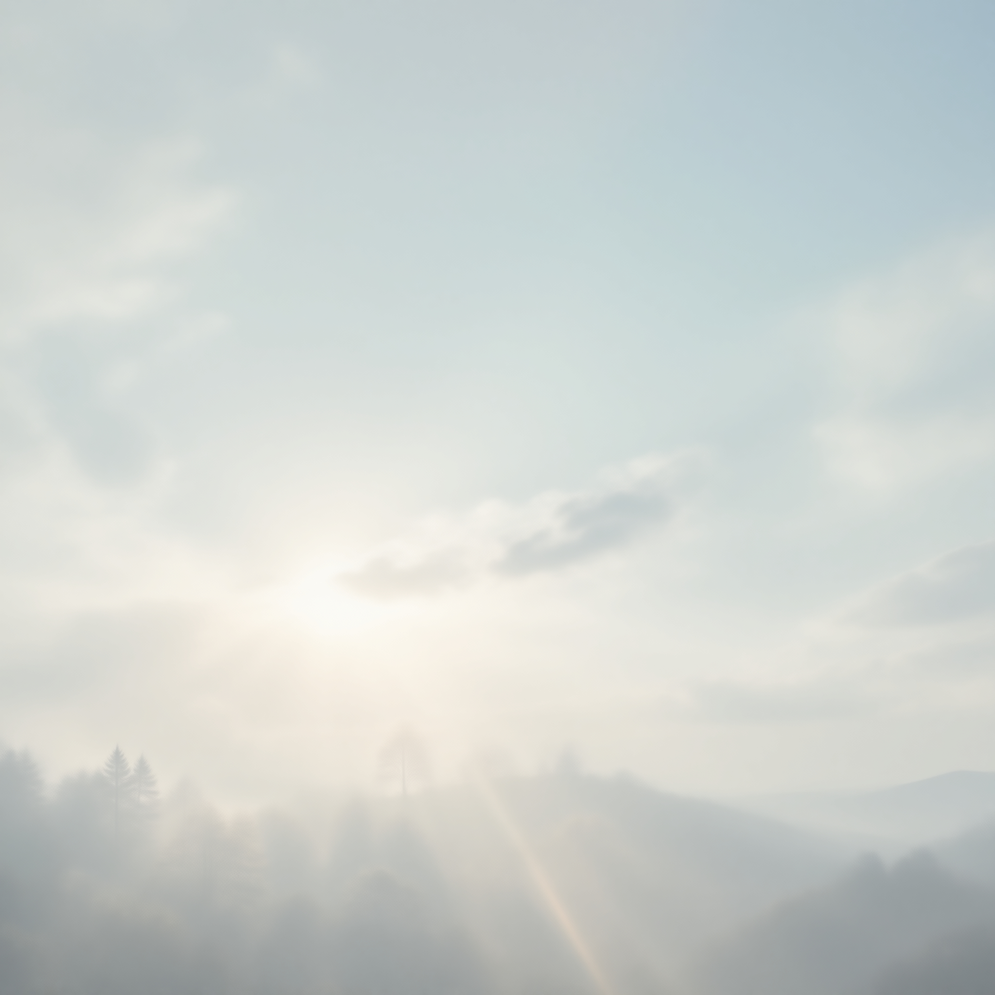 Misty Forest Sunrise