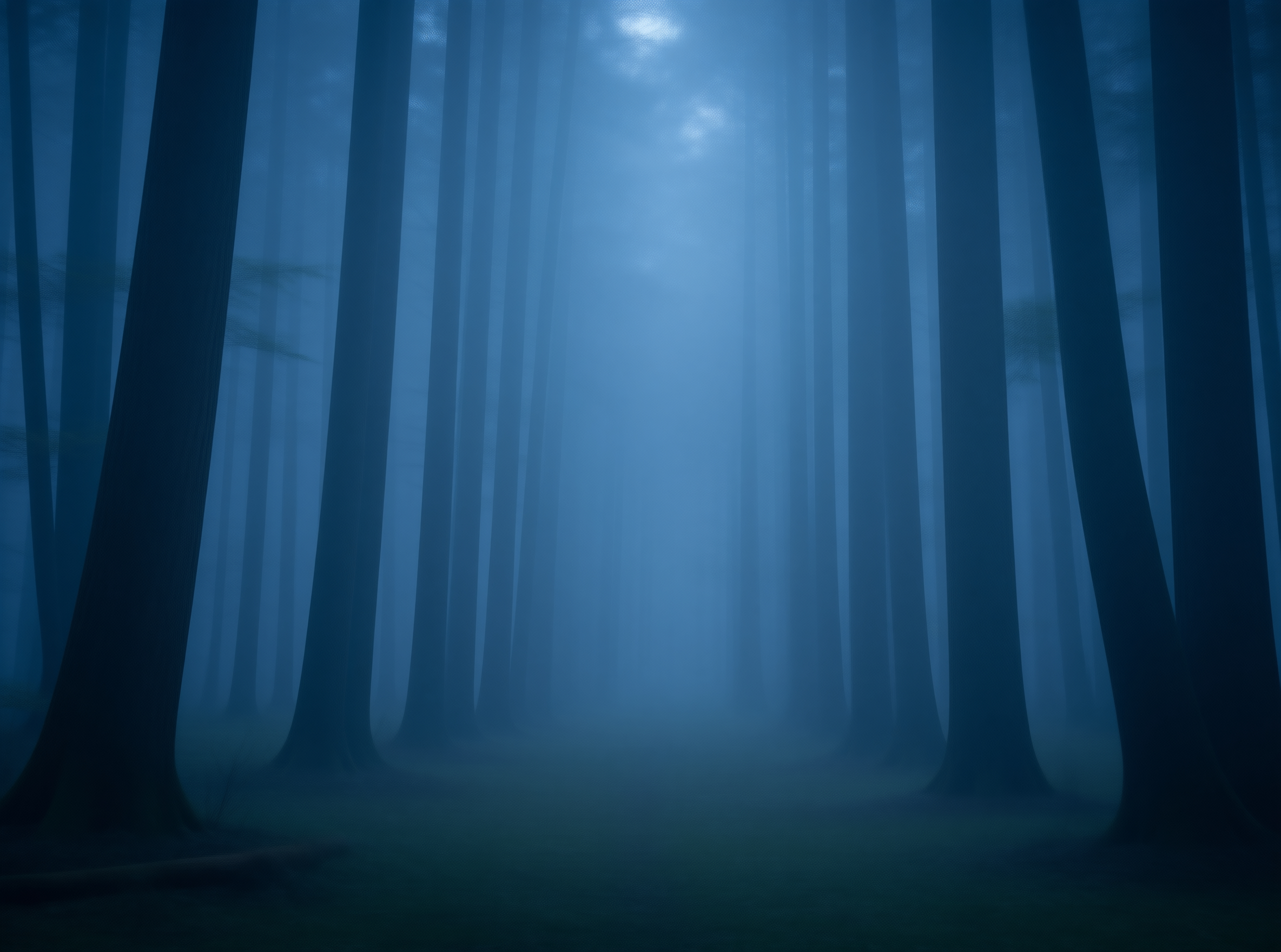 Misty Blue Tall Forest