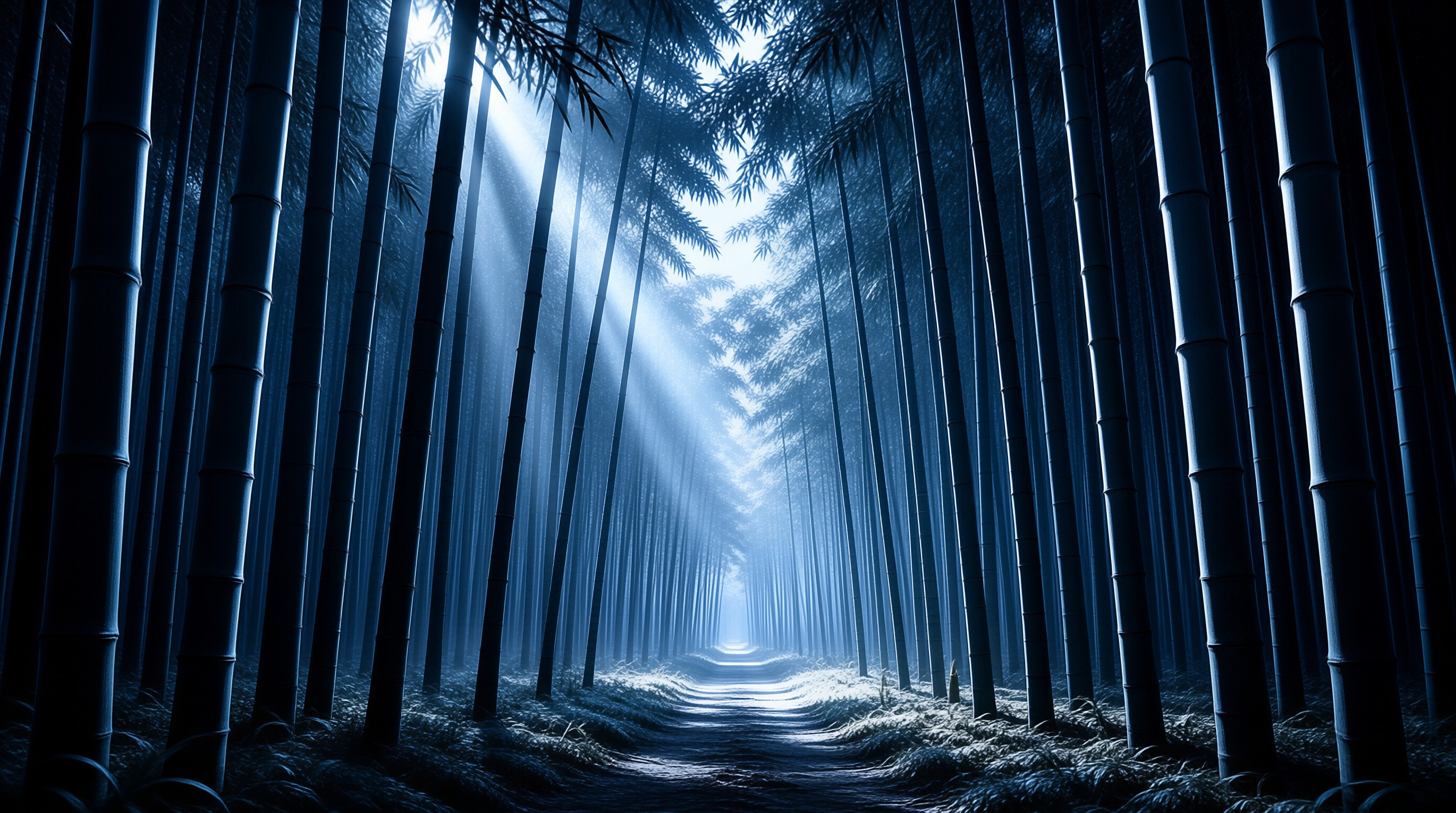 Mystical Bamboo Forest Path
