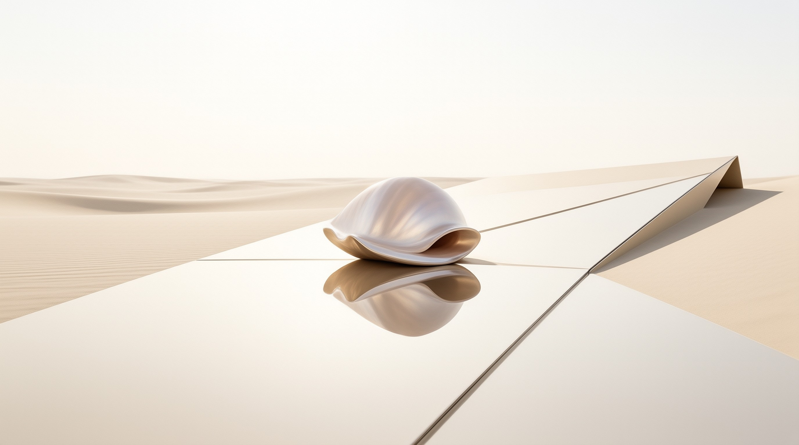 Minimalist White Shell Scene