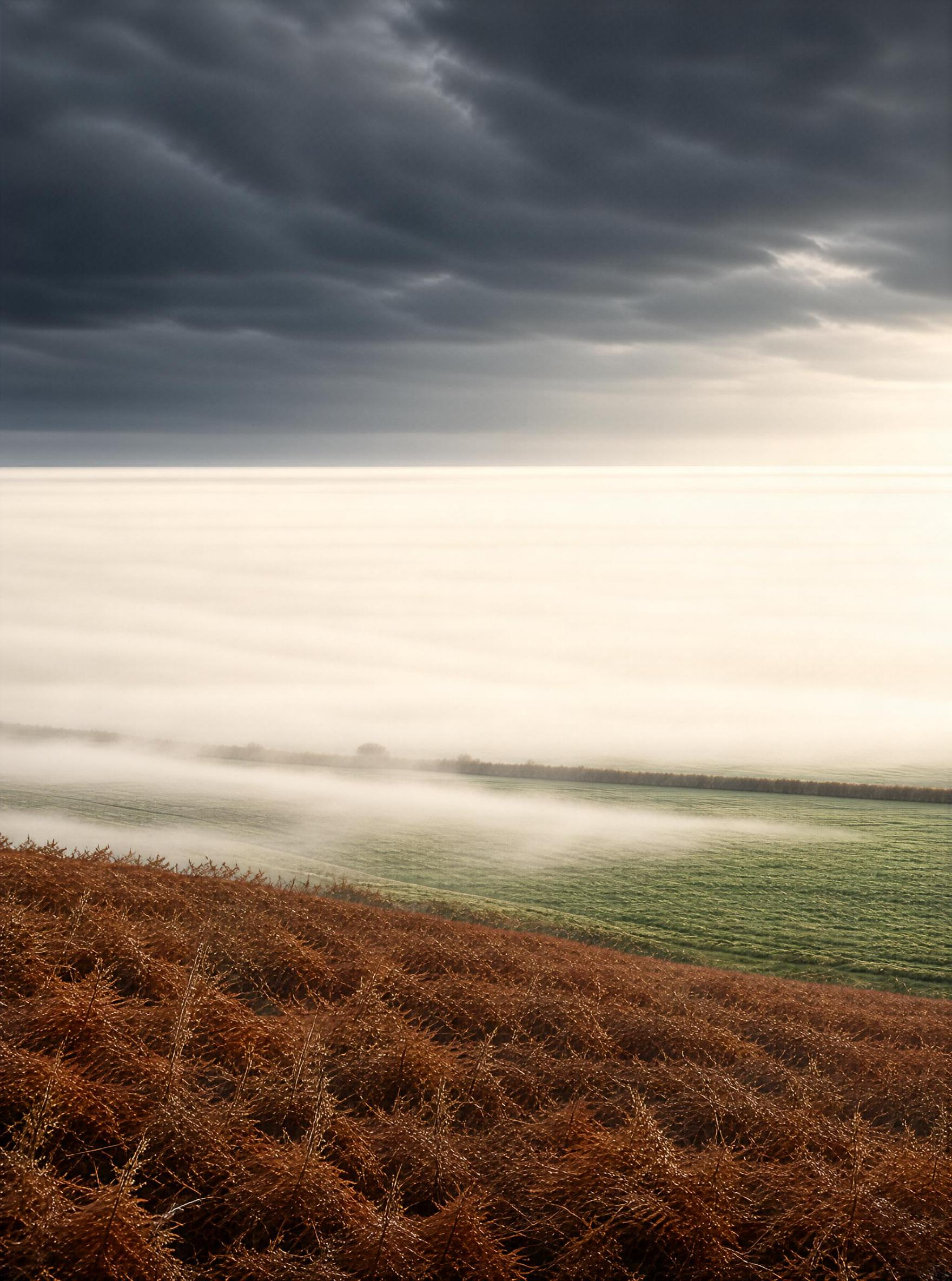 Misty Field Landscape