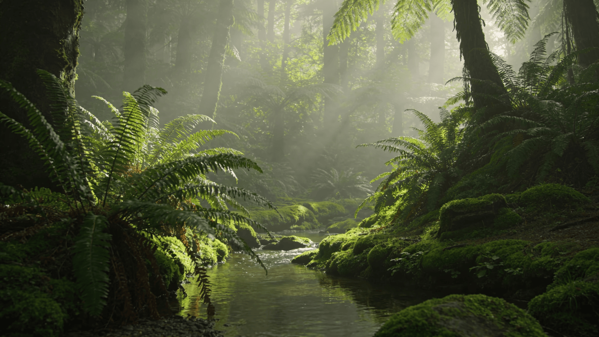 Soft Moss and Ferns in Morning Light