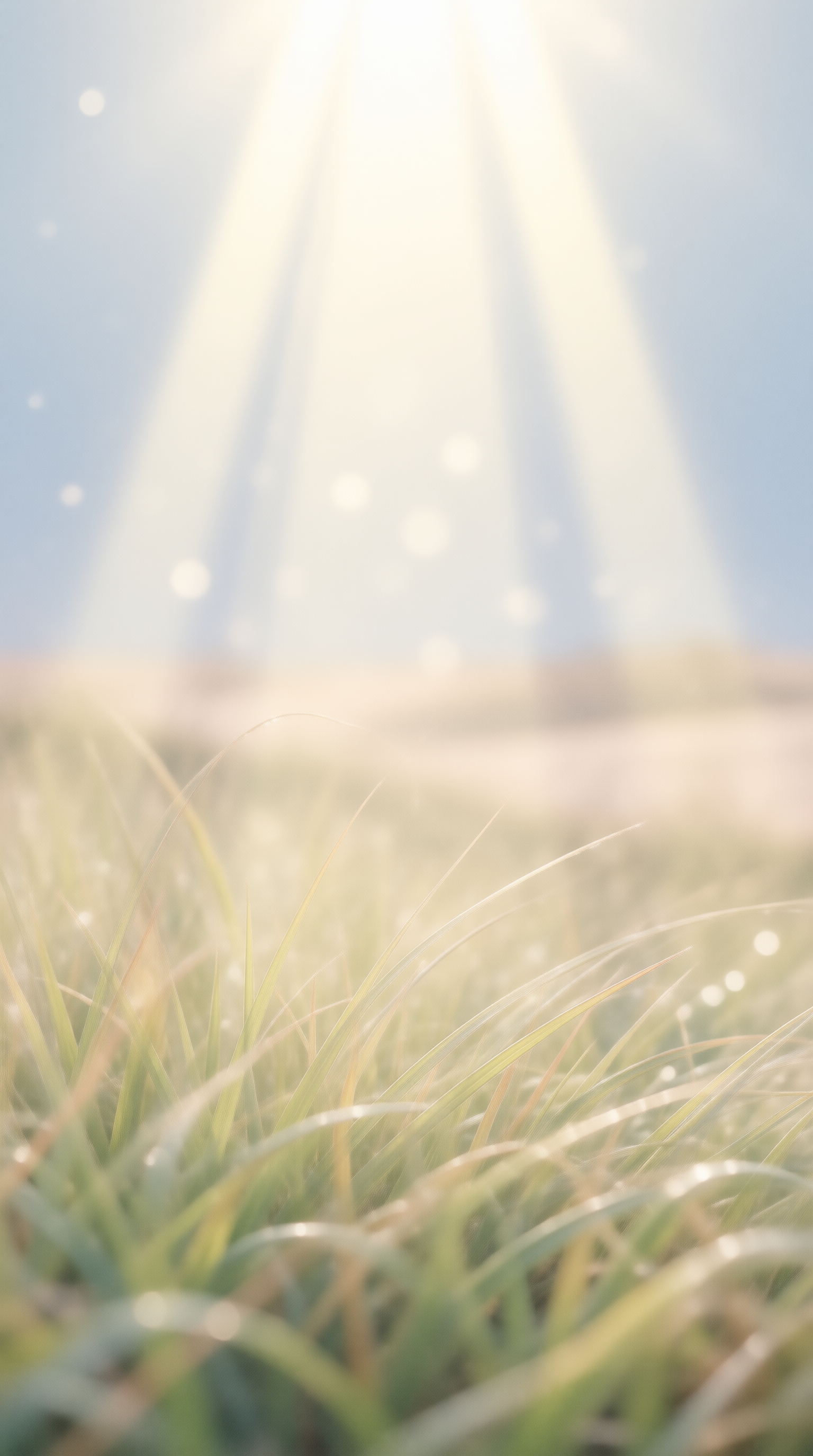 Sunlight Through Grass