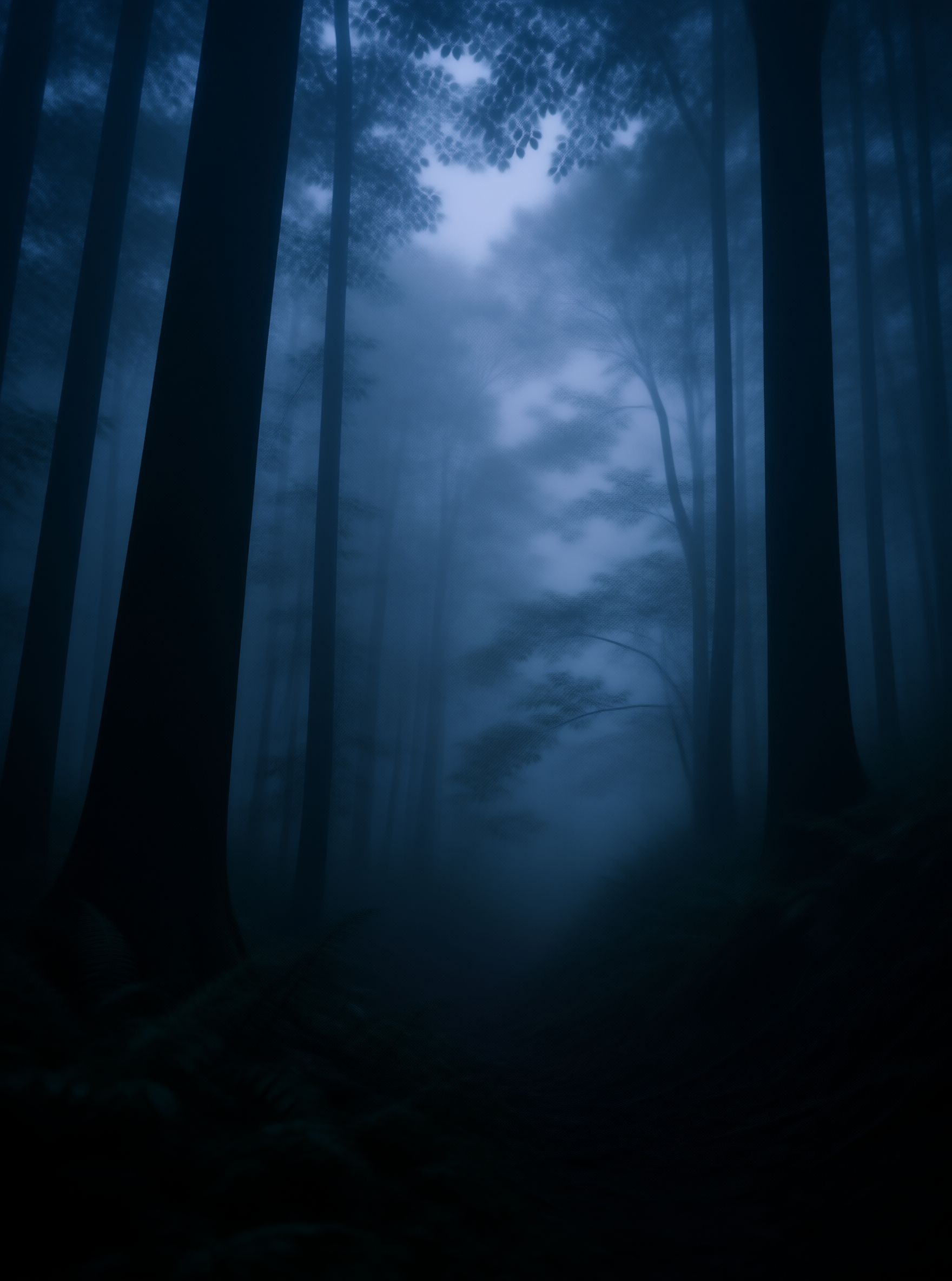 Misty Forest Scene