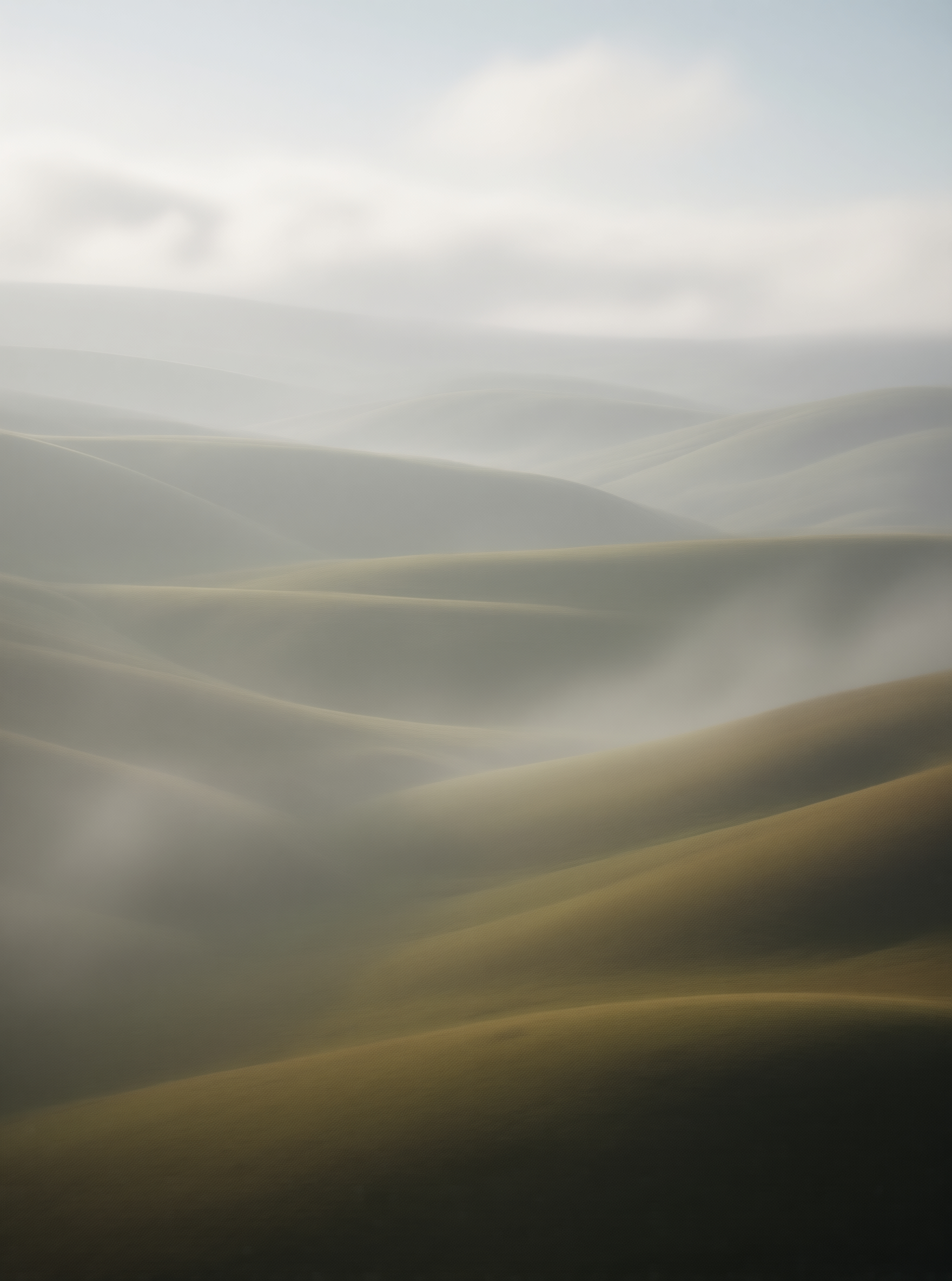 Foggy Sand Dunes