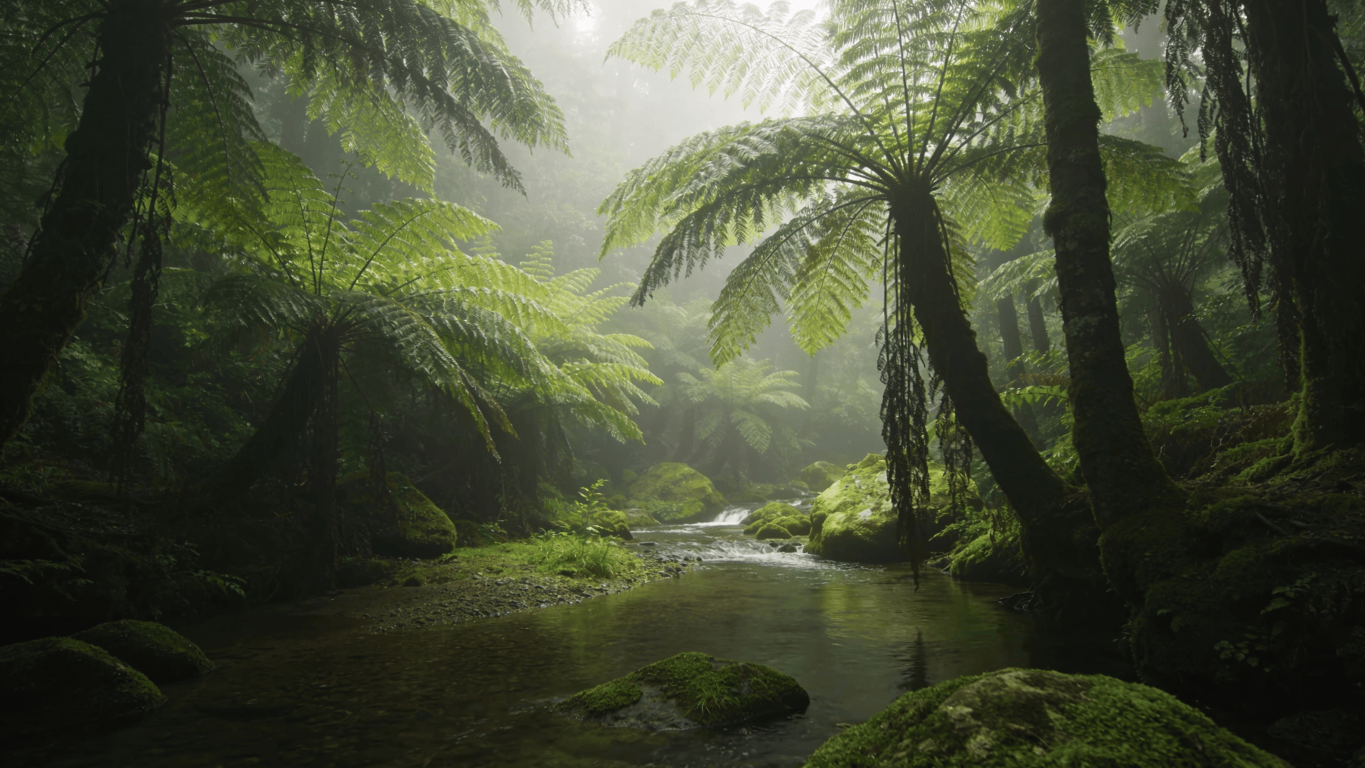 Tranquil Green Forest and Calm Stream
