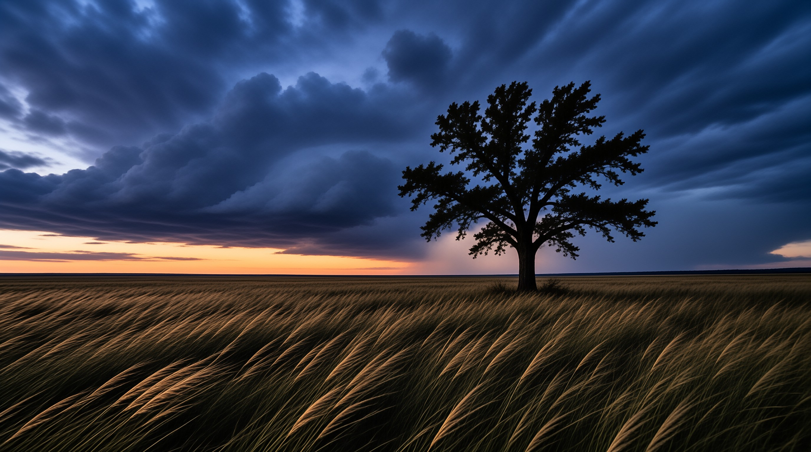 Solitary Tree at Dusk