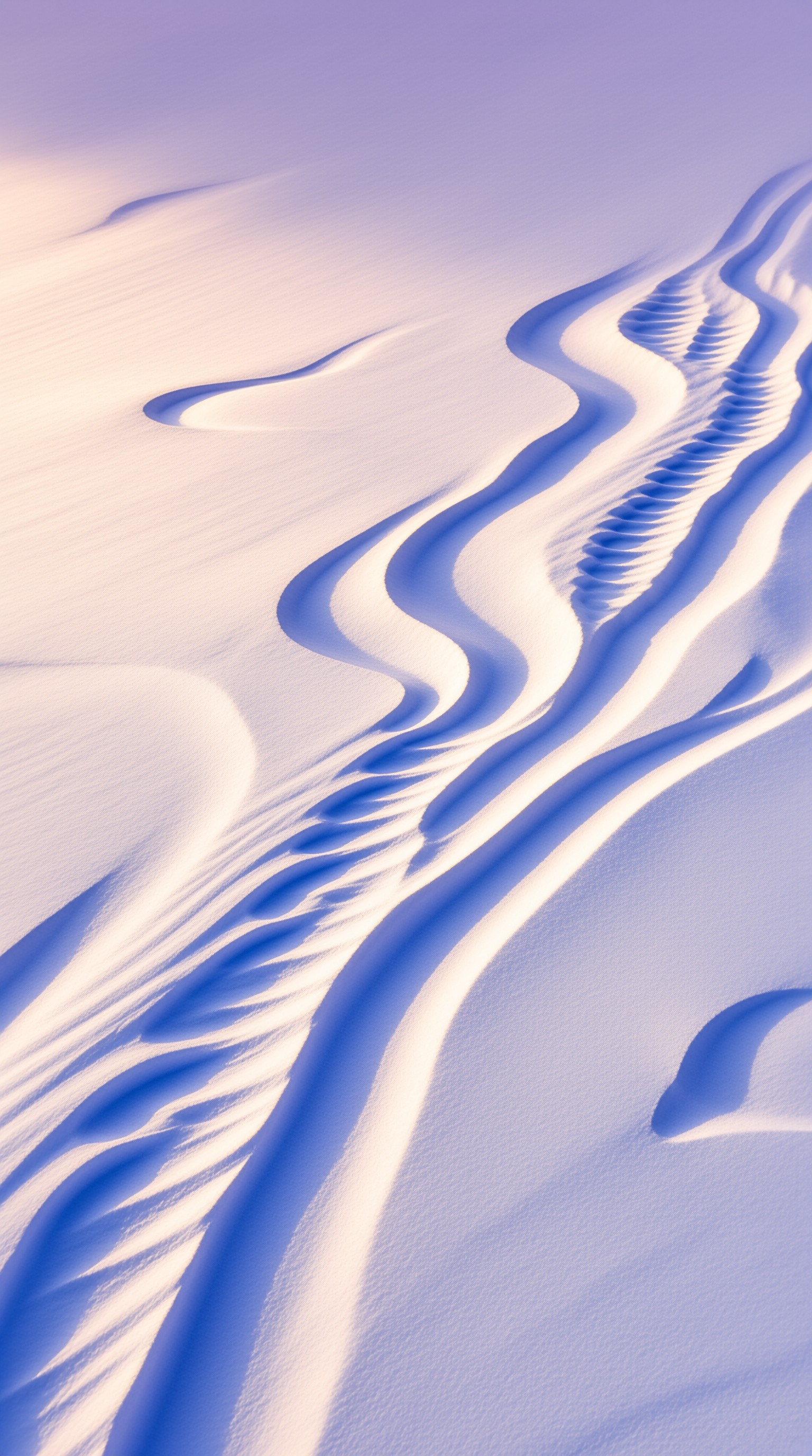 Winding Desert Dunes