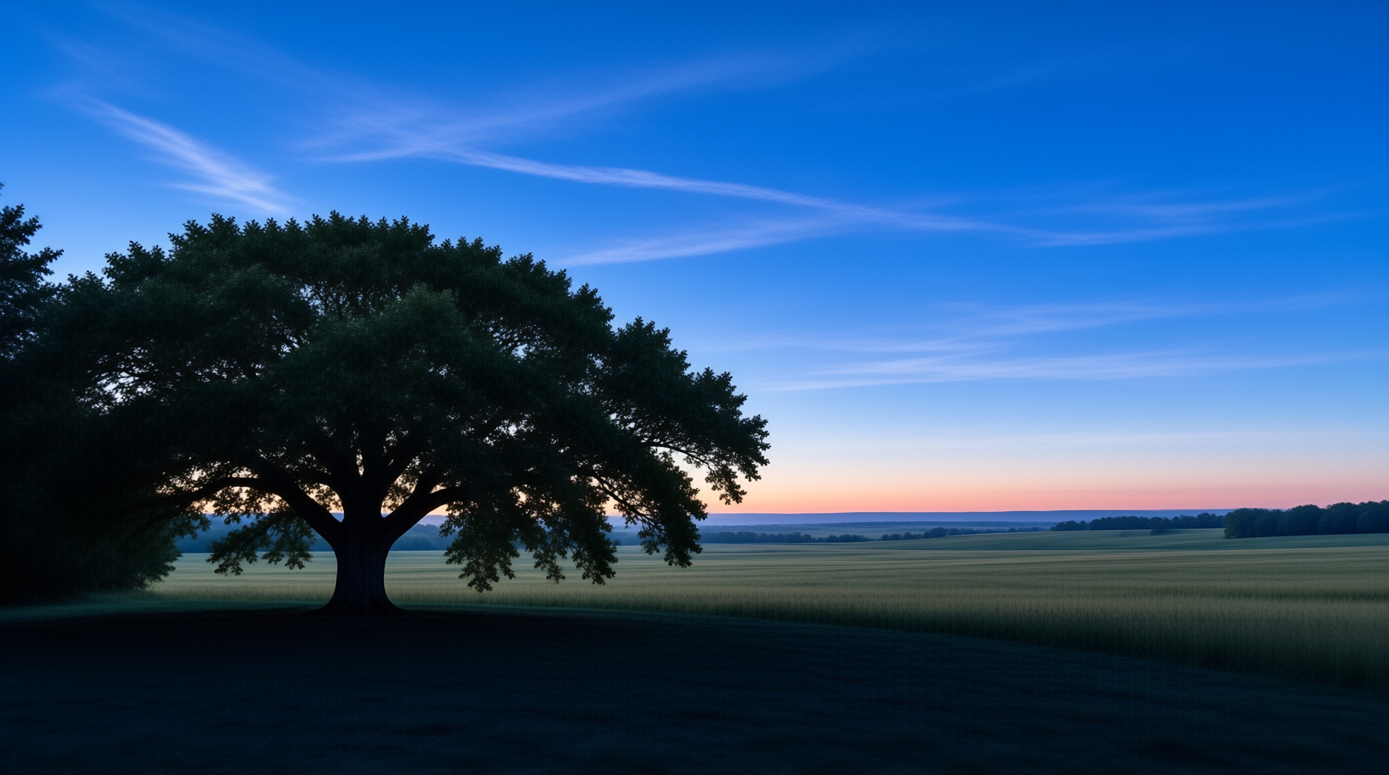 Lone Tree at Dusk