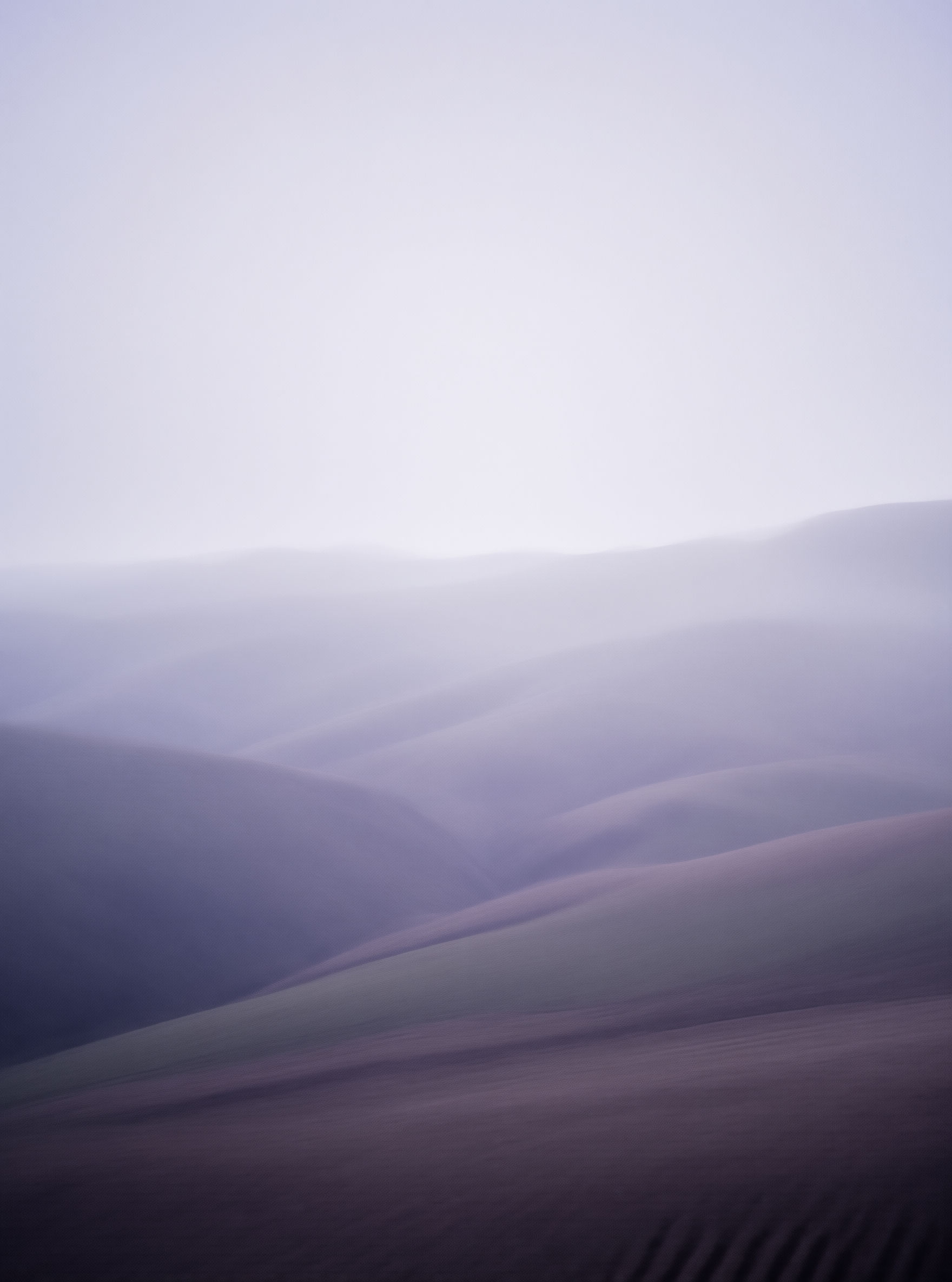 Misty Purple Sand Dunes
