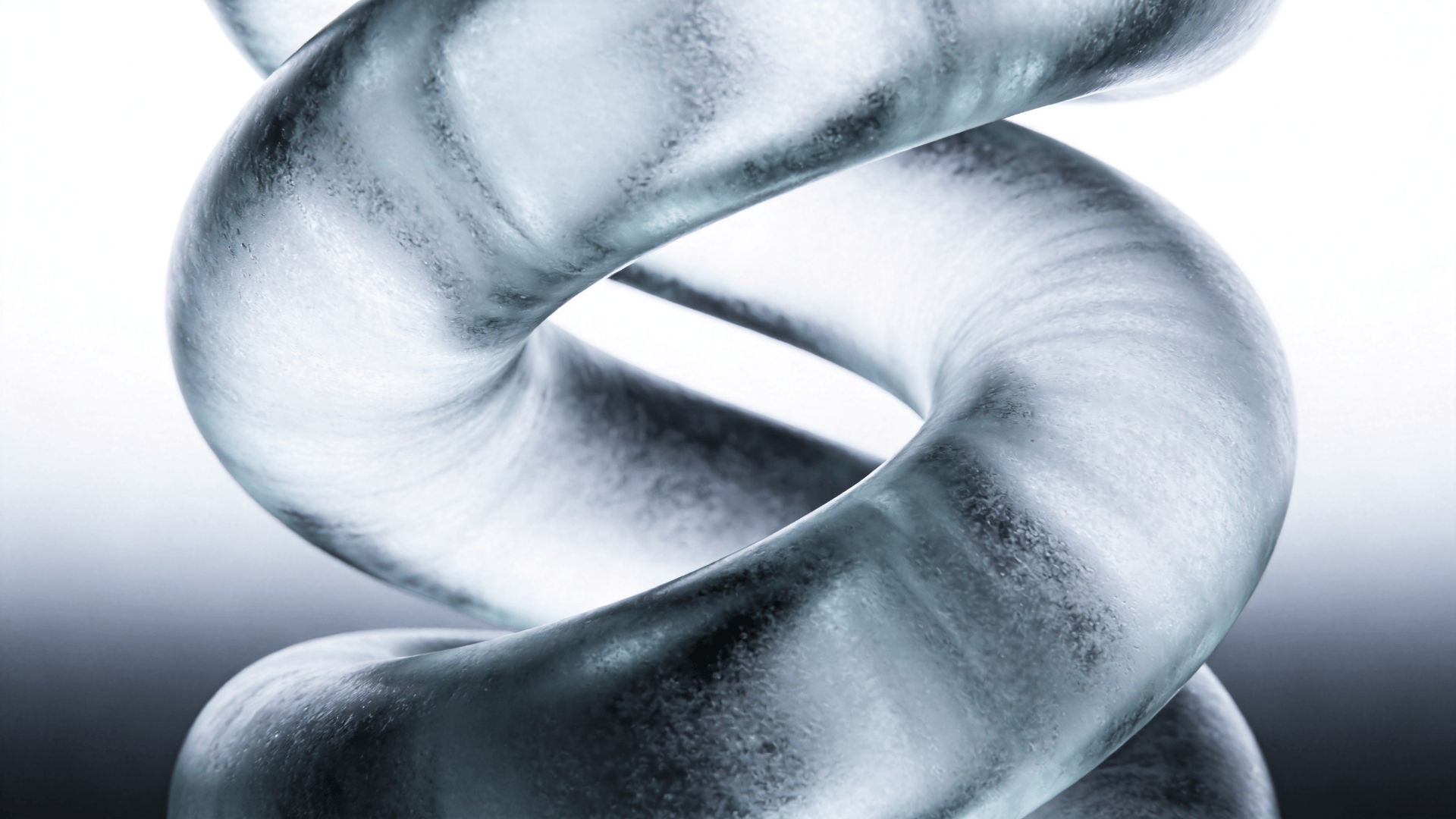 Frosted Glass Twisted Torus