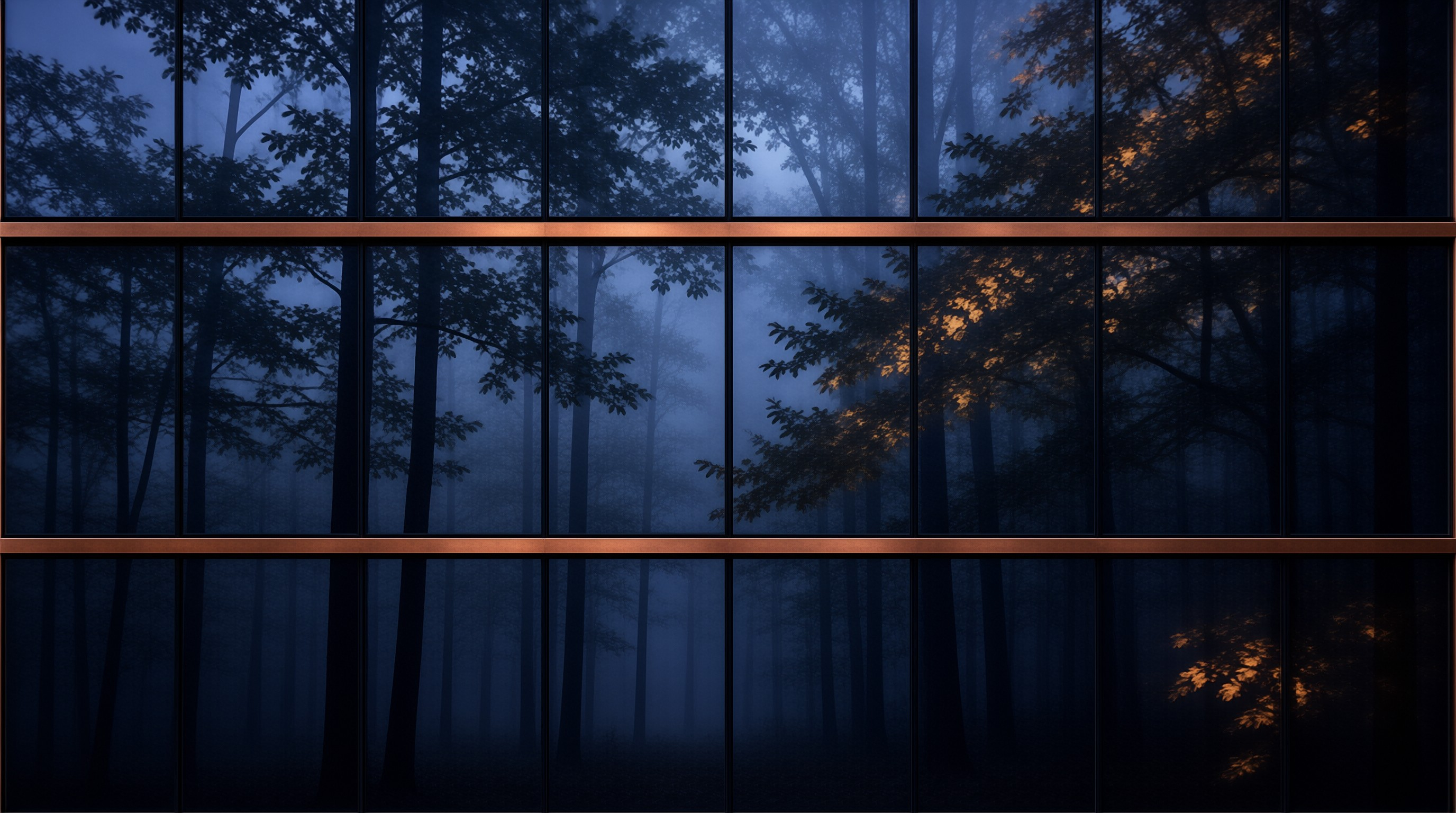 Forest View Through Window
