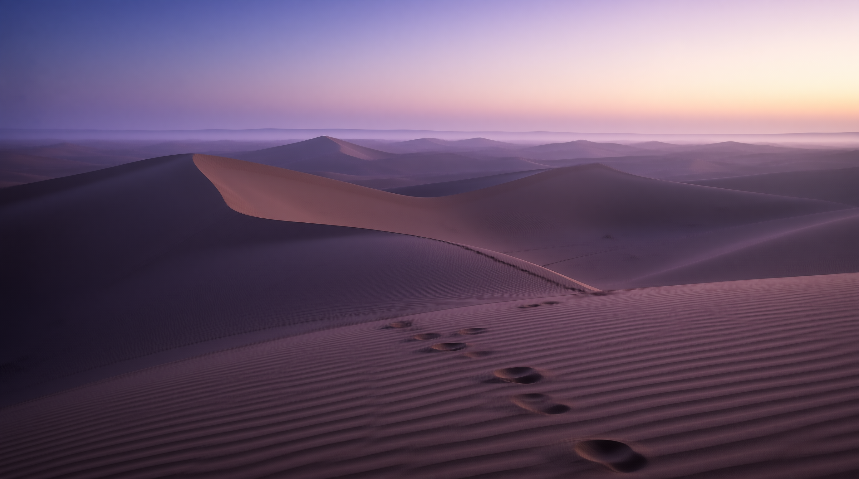 Desert Footprints at Twilight
