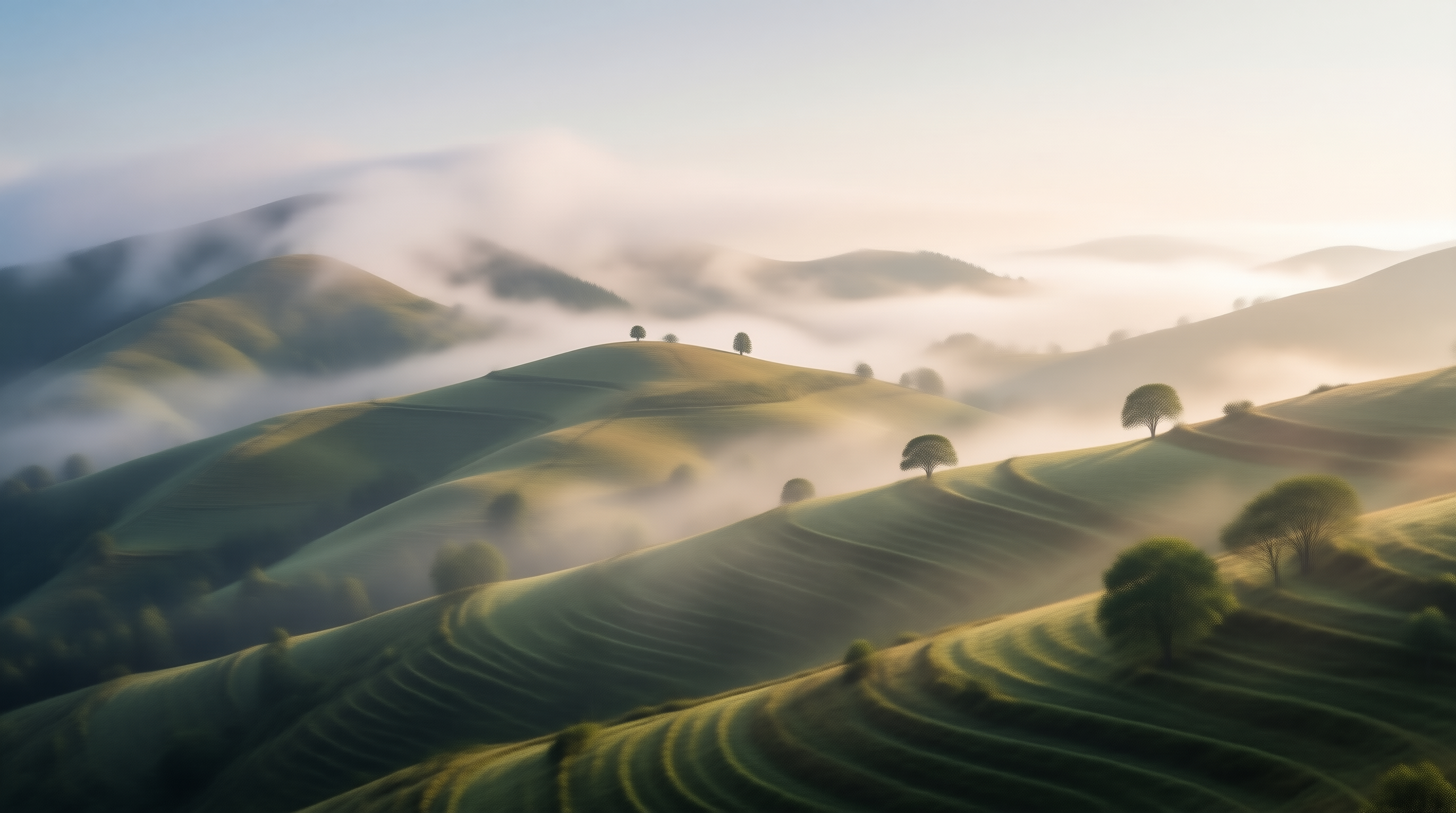Misty Rolling Hills Landscape