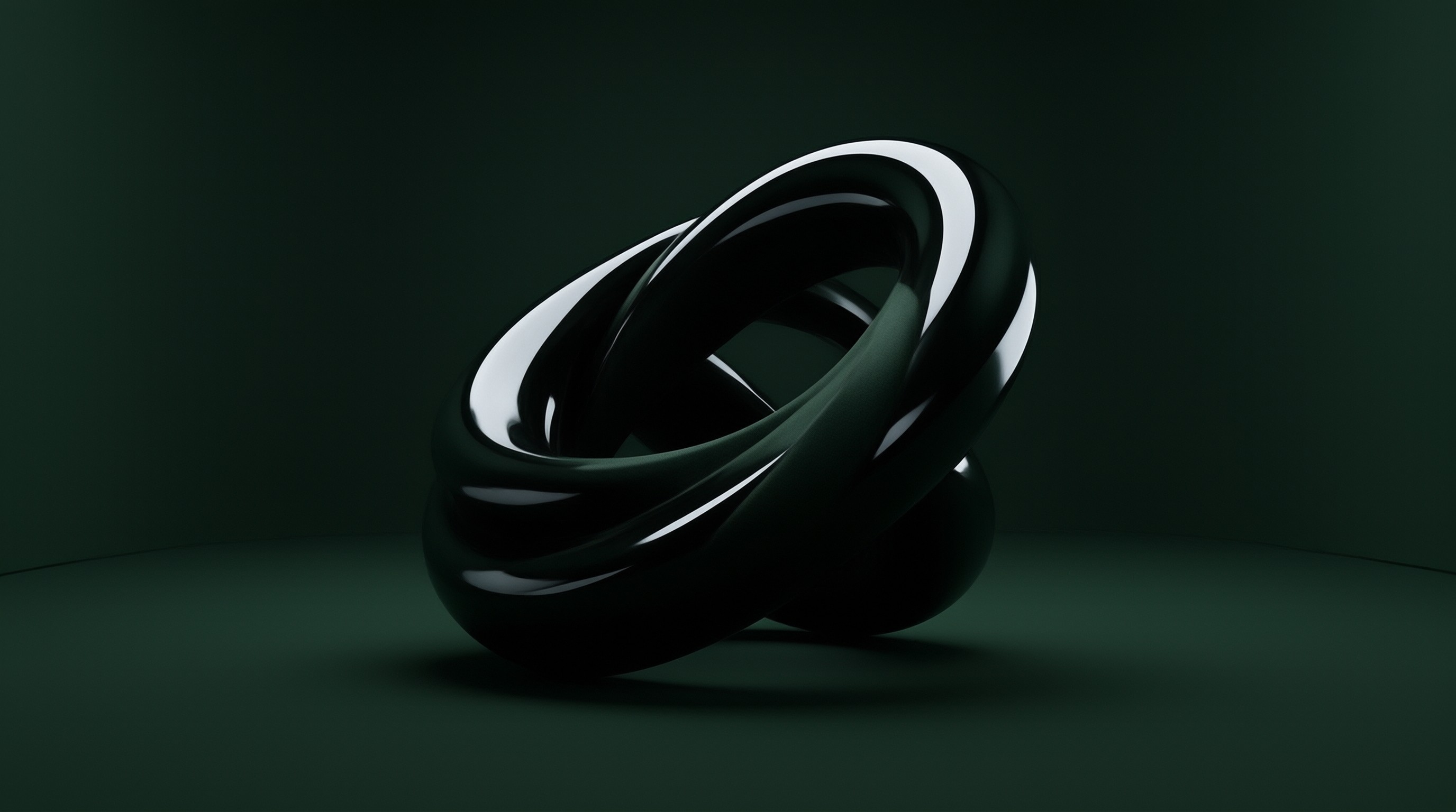 Abstract Glossy Black Knot