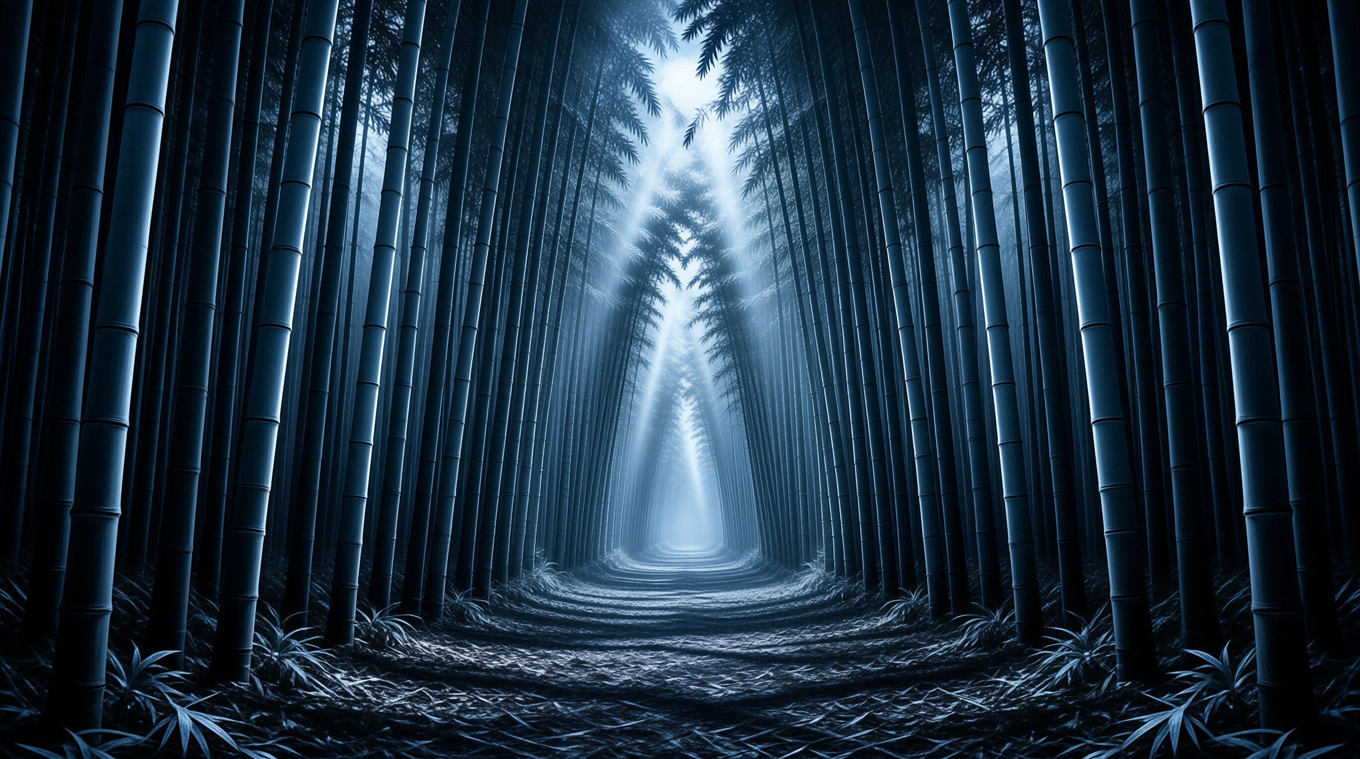 Misty Bamboo Path