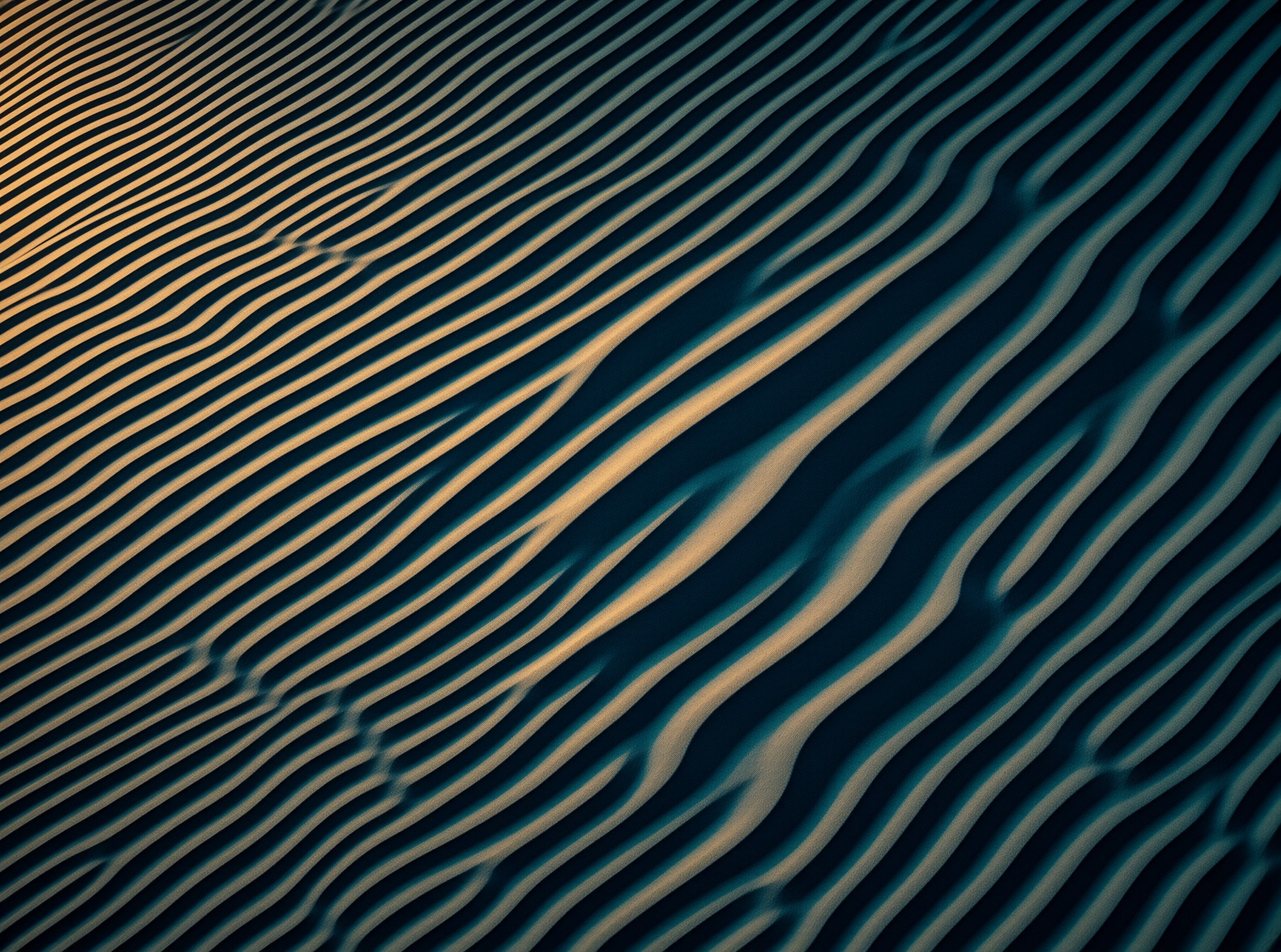 Wind-Rippled Sand Landscape