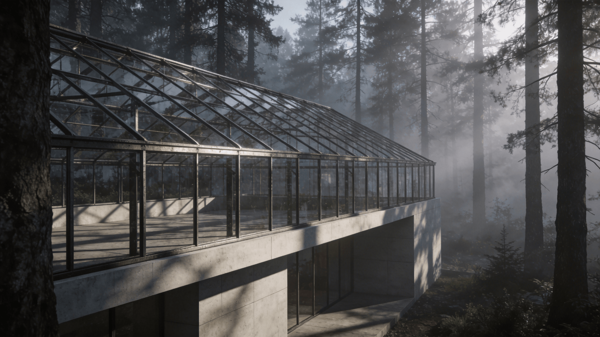Greenhouse with Steel Frame — Misty Forest