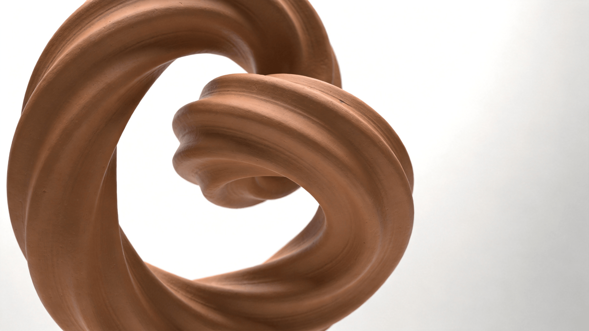 Twisted torus Study — Clay