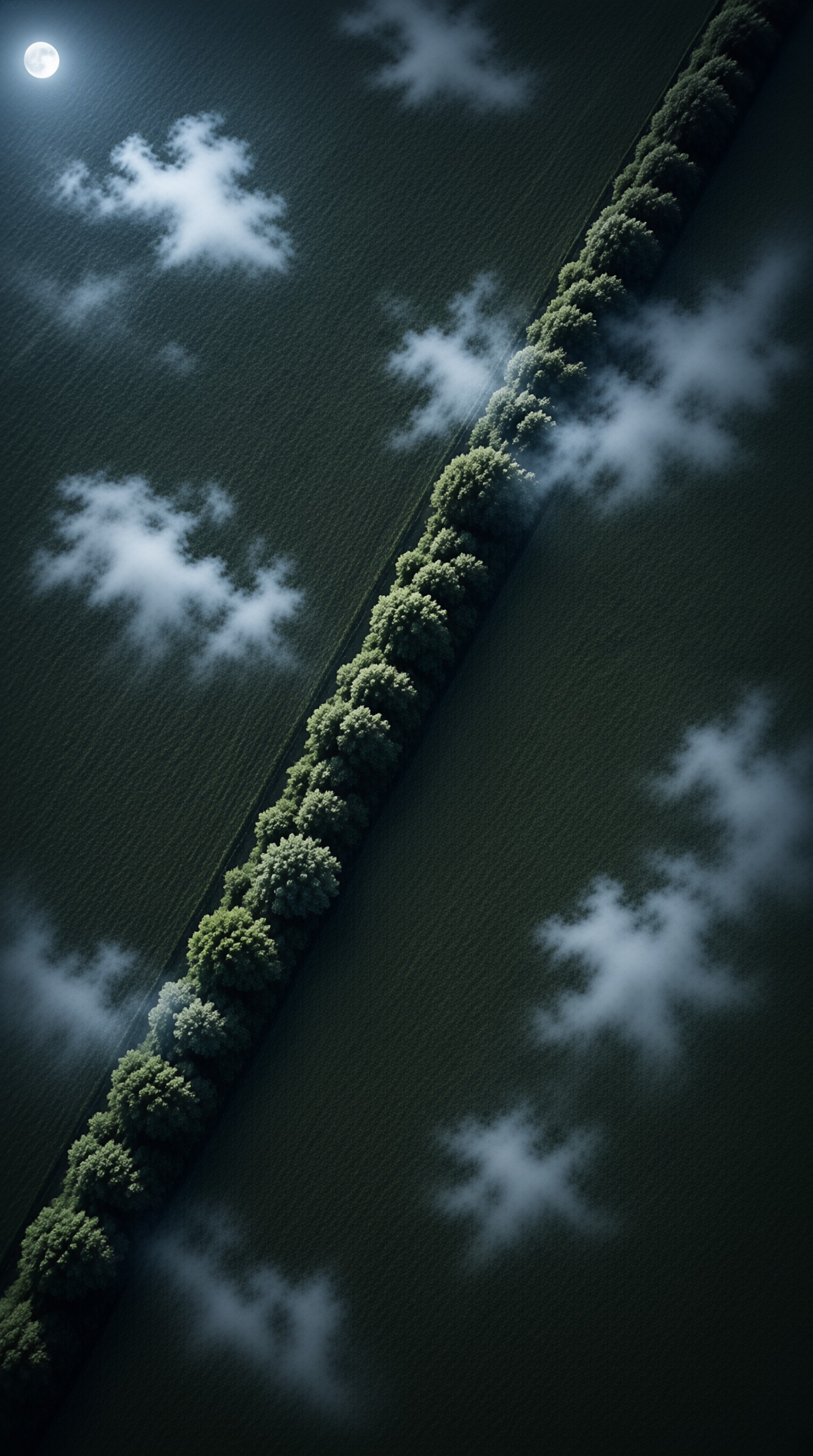 A row of trees stretches diagonally across a dark field under a bright moon with scattered clouds.