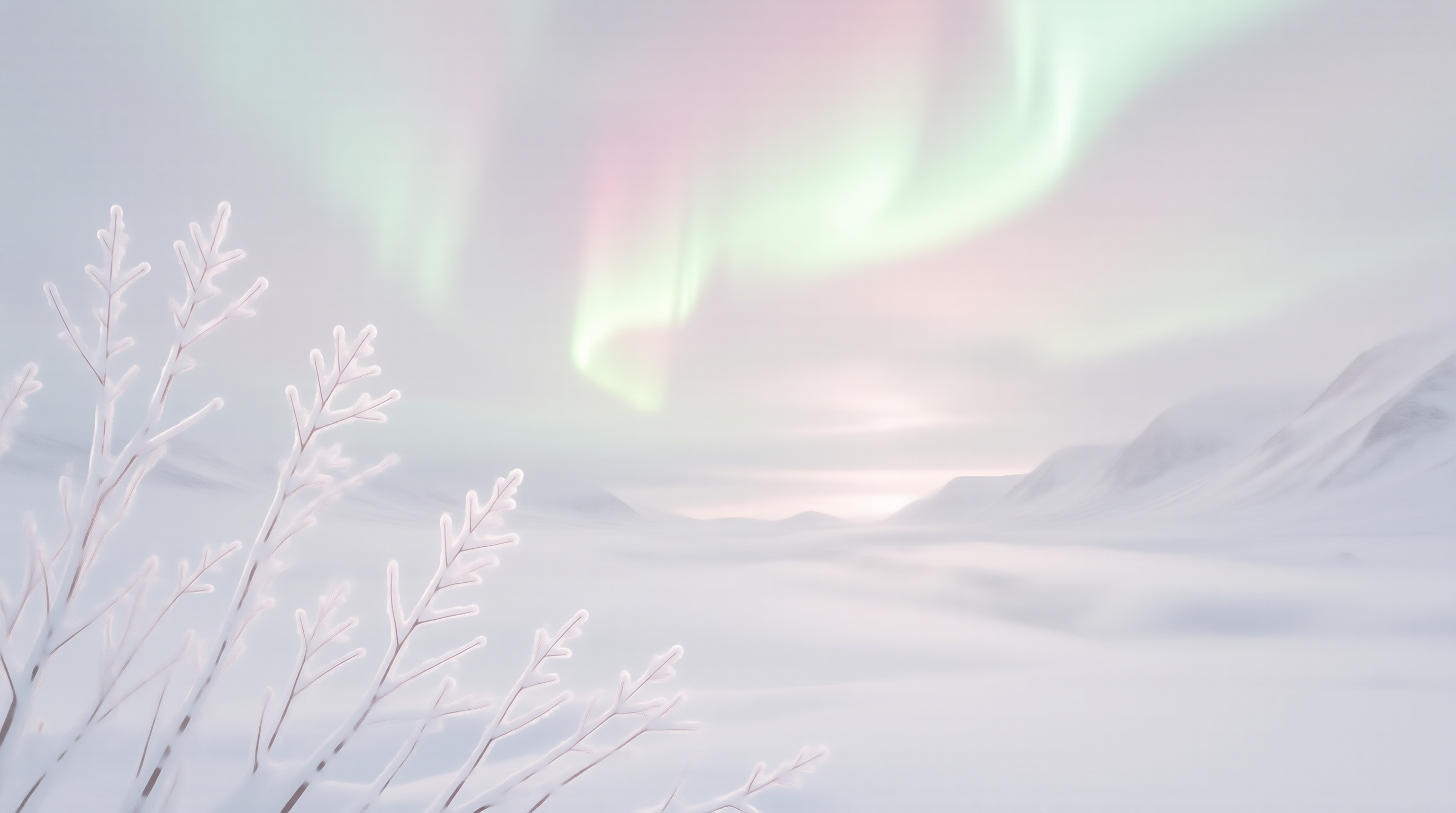 Dreamy Winter Aurora