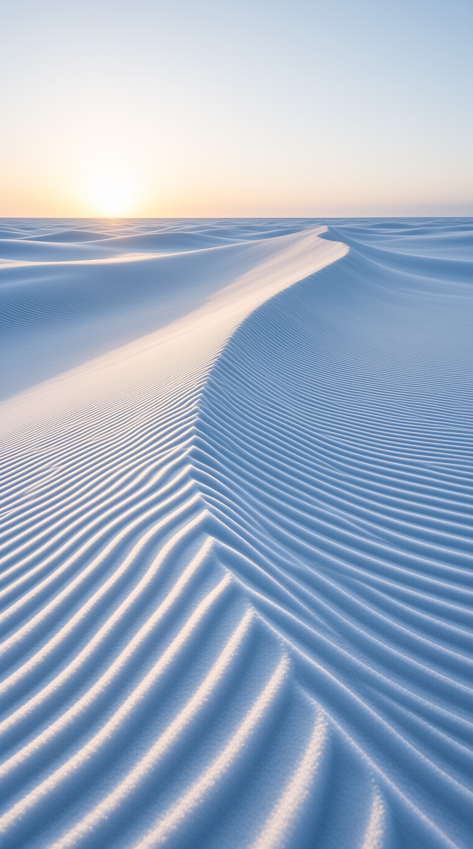 Wind-Rippled Dune Ridge Landscape