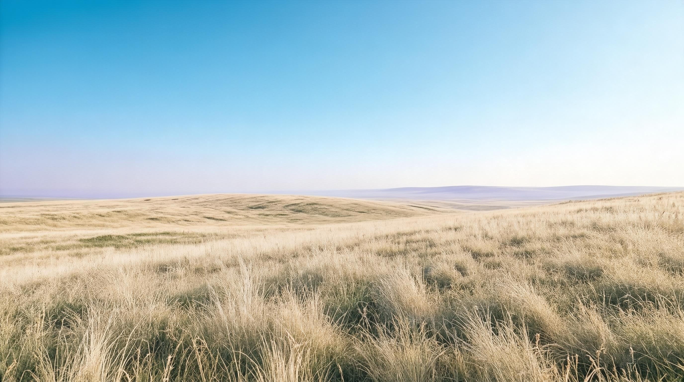 Vast Grassland Under Blue Sky