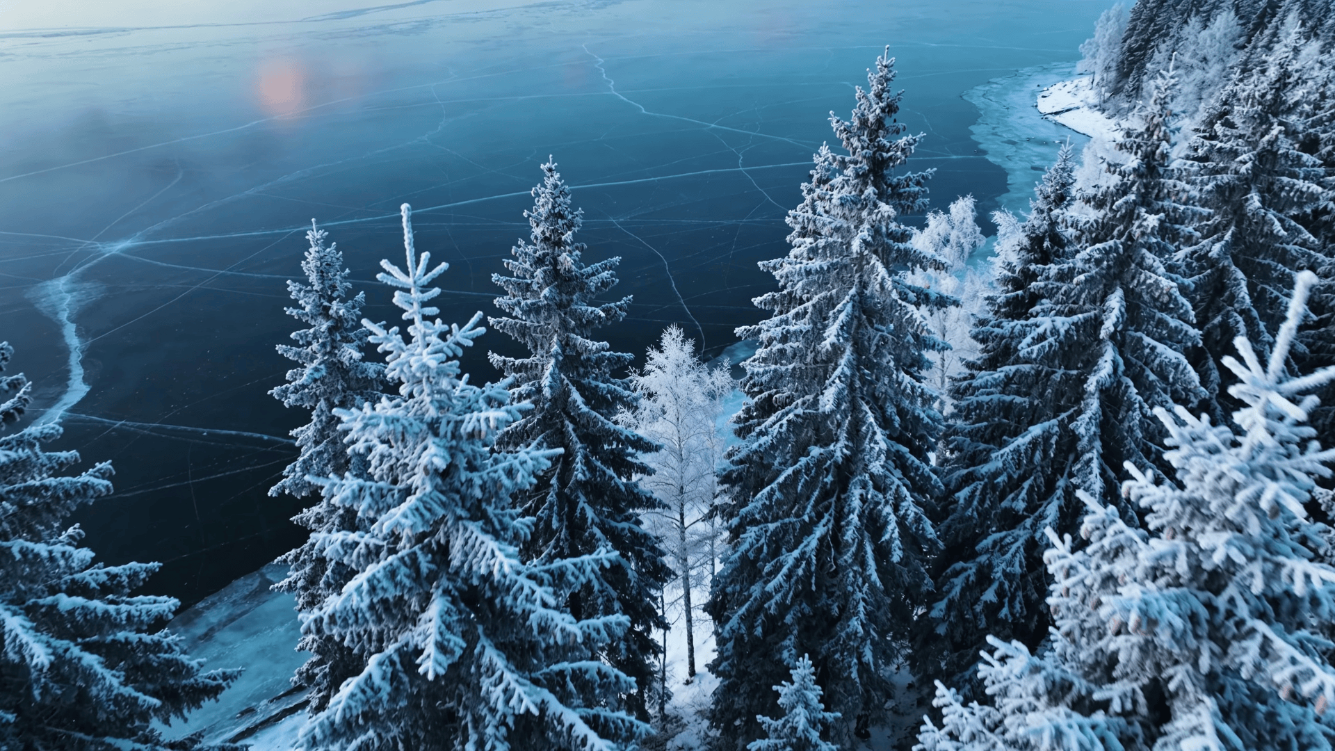 Winter Wonderland in Blue Hour Light