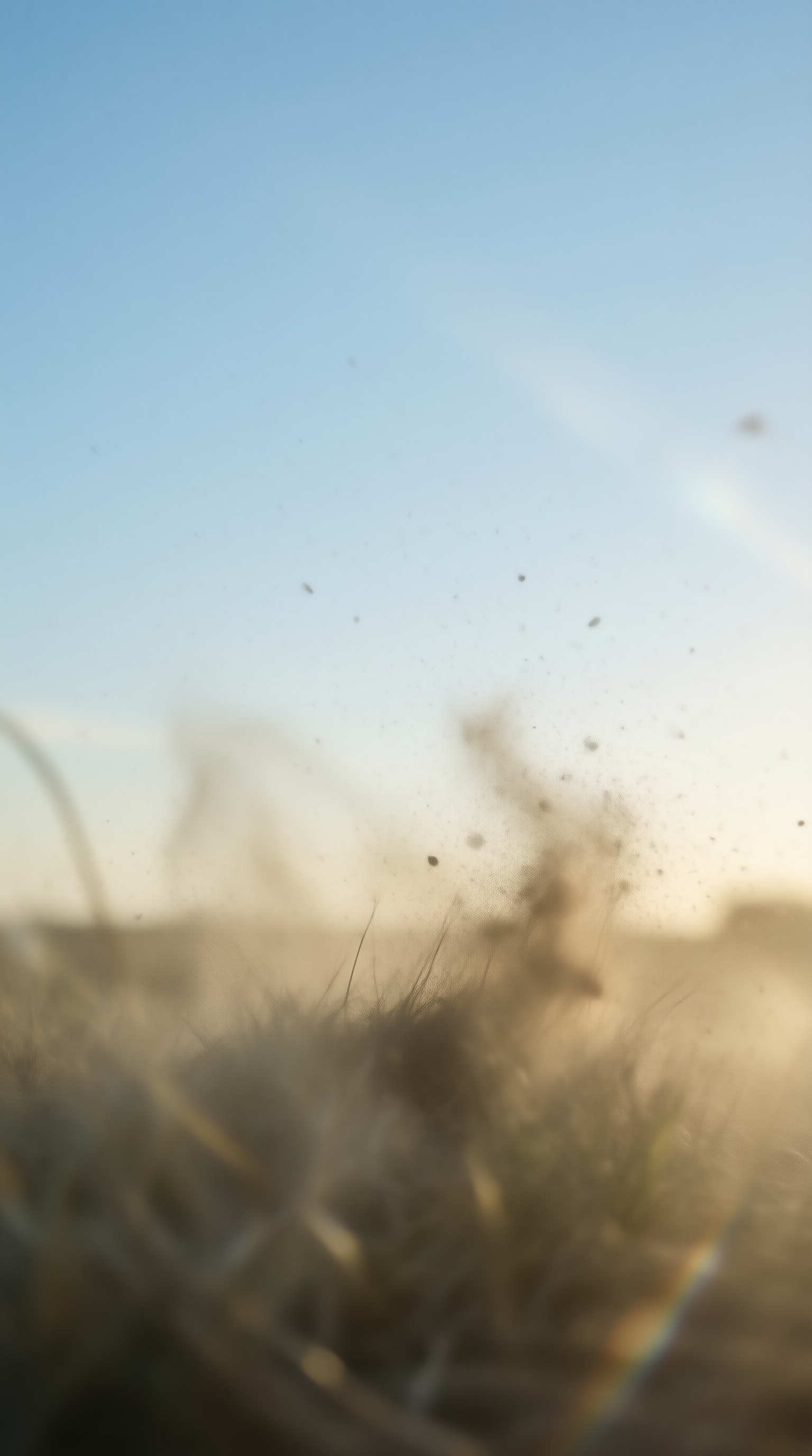 Dusty Glass Closeup