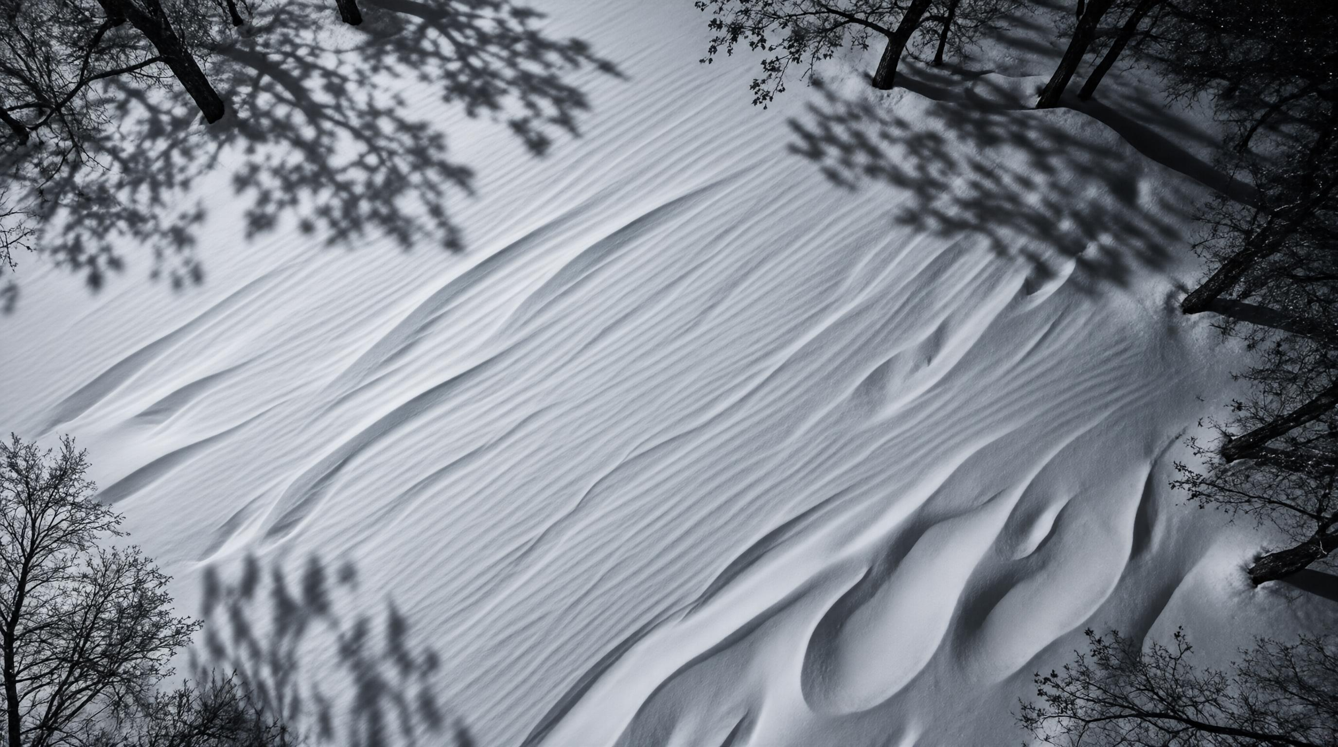 Snowy Landscape Shadows