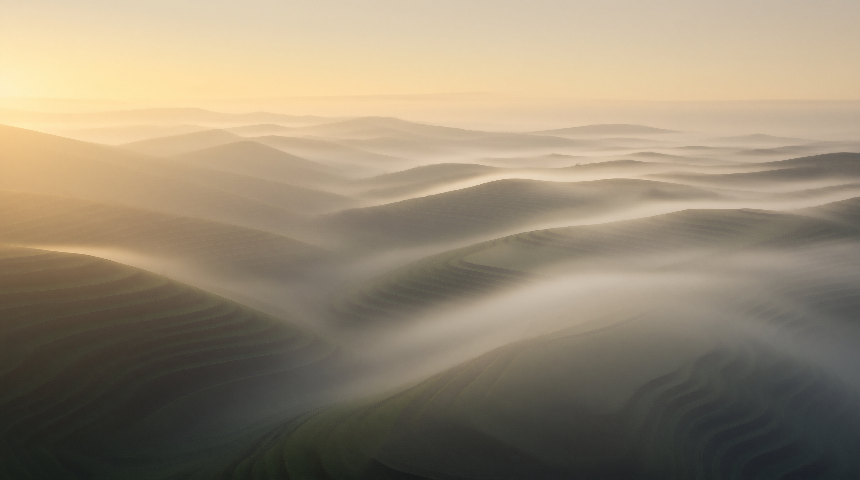 Misty Desert Dunes