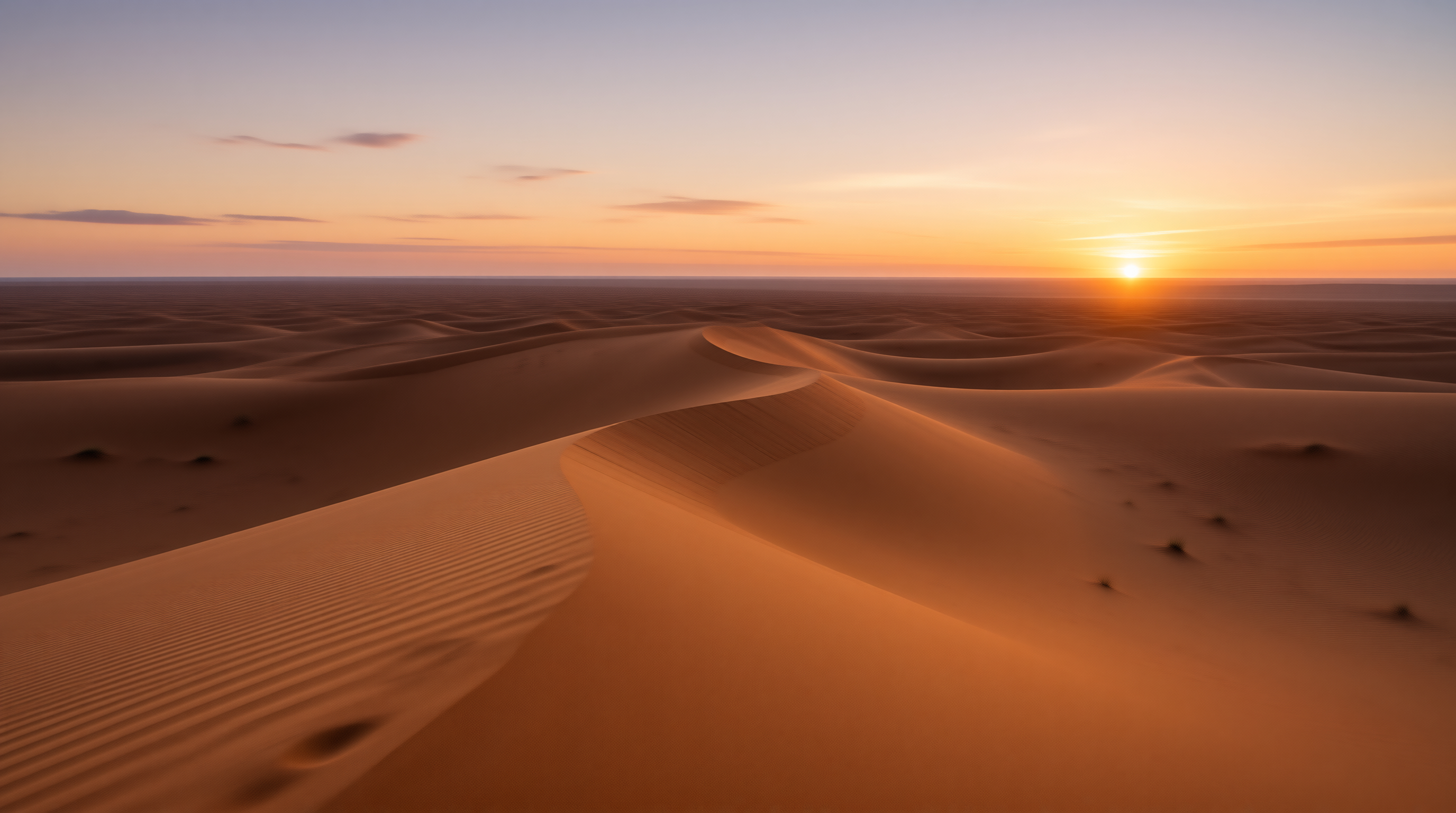 Golden Desert Sunset